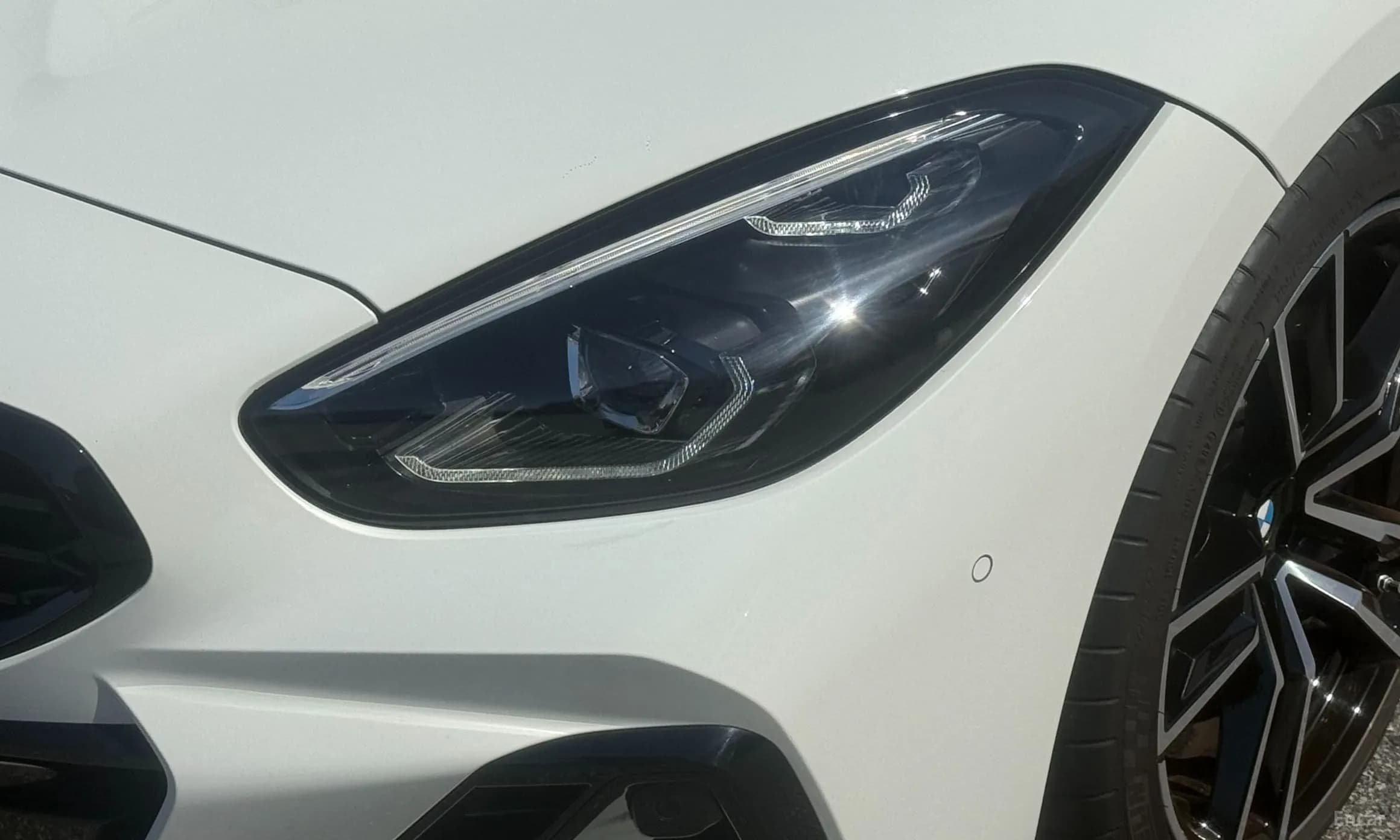 Z4 (G29)