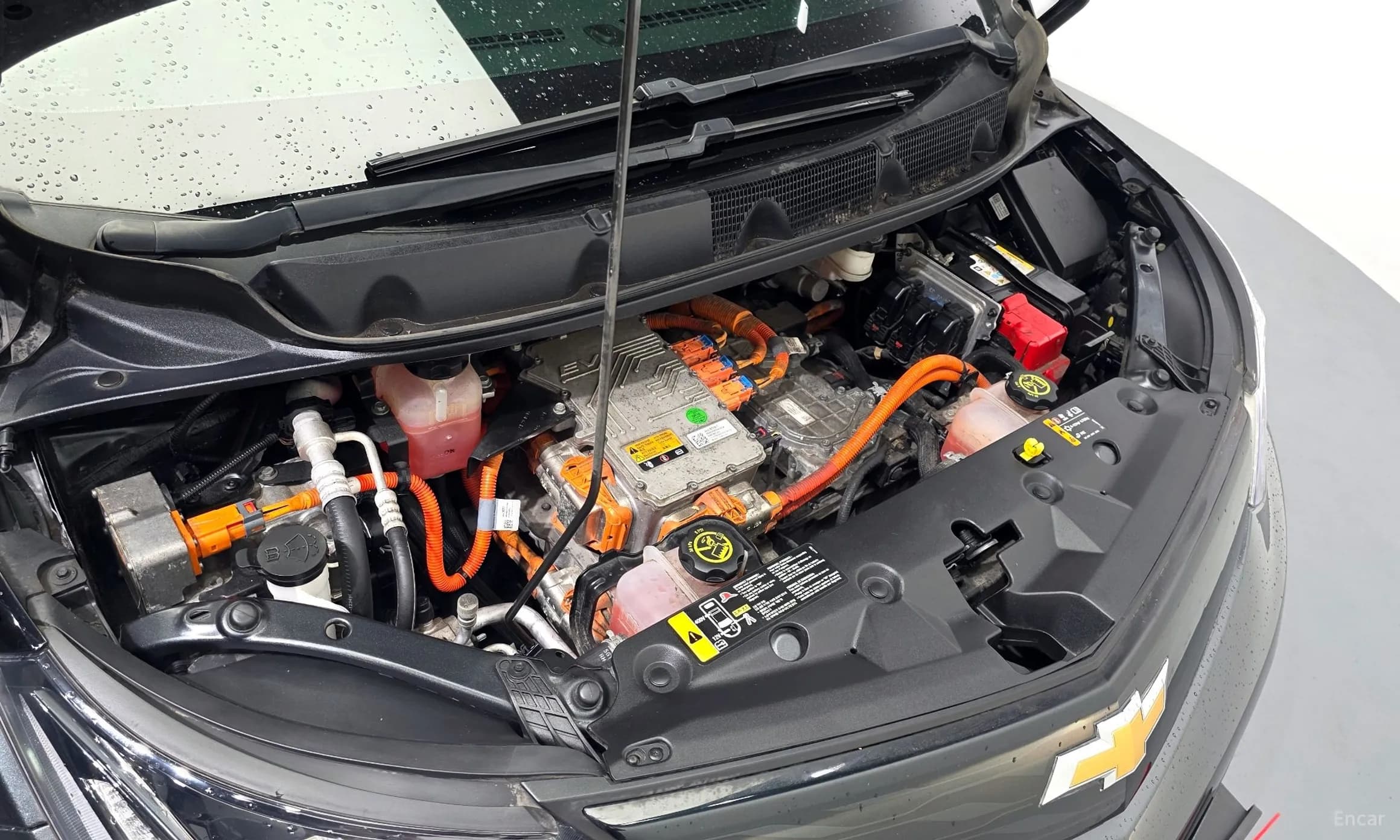 Bolt EV