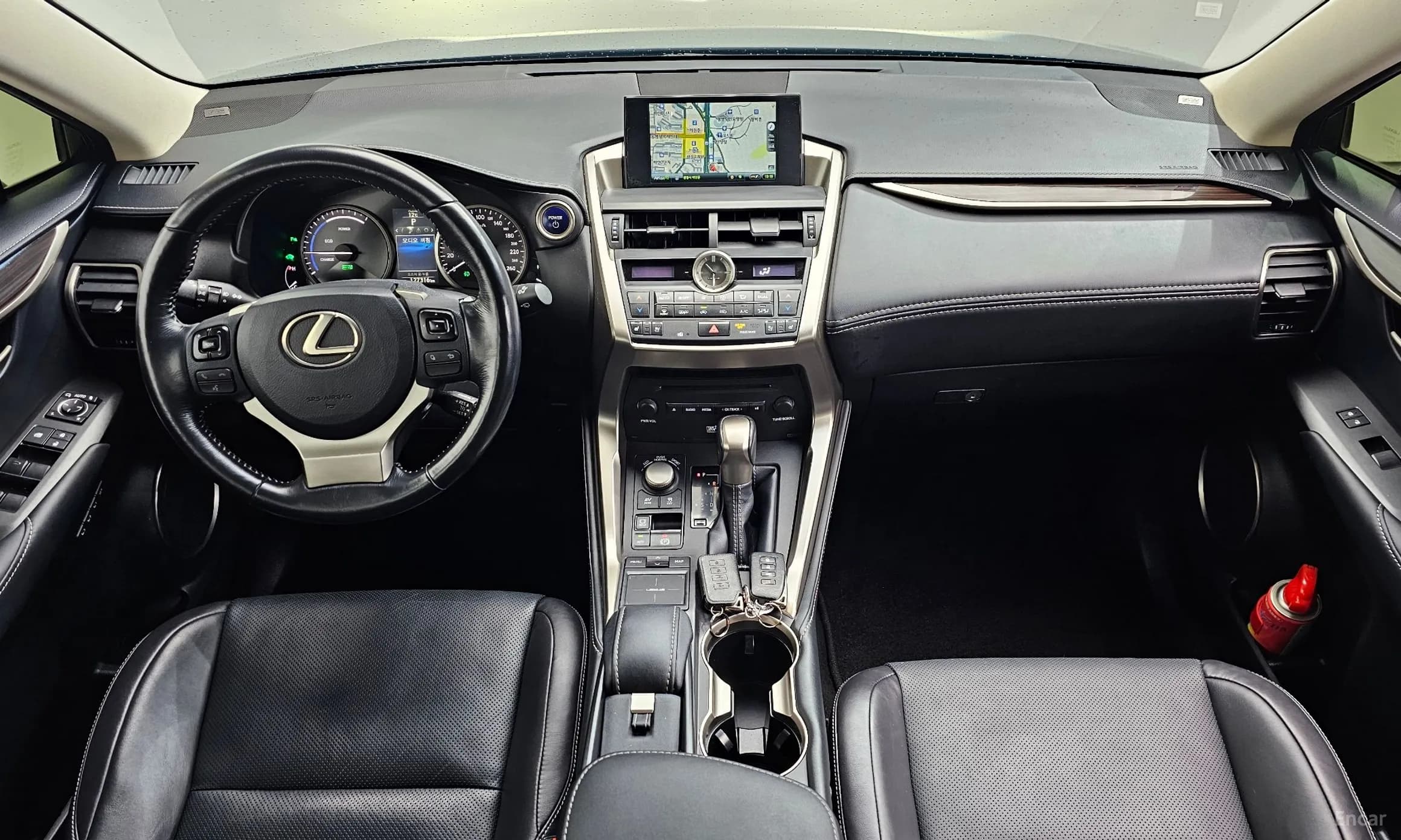 NX300h