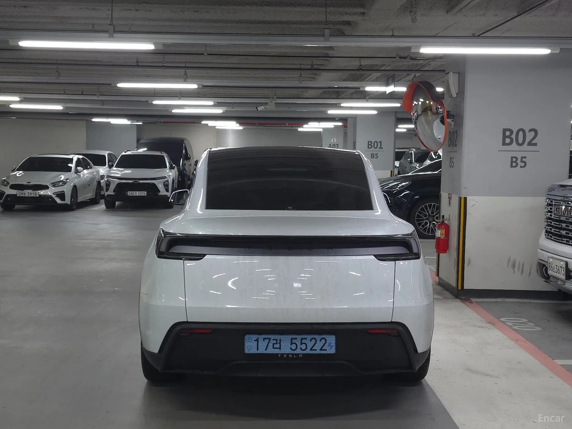 Model Y