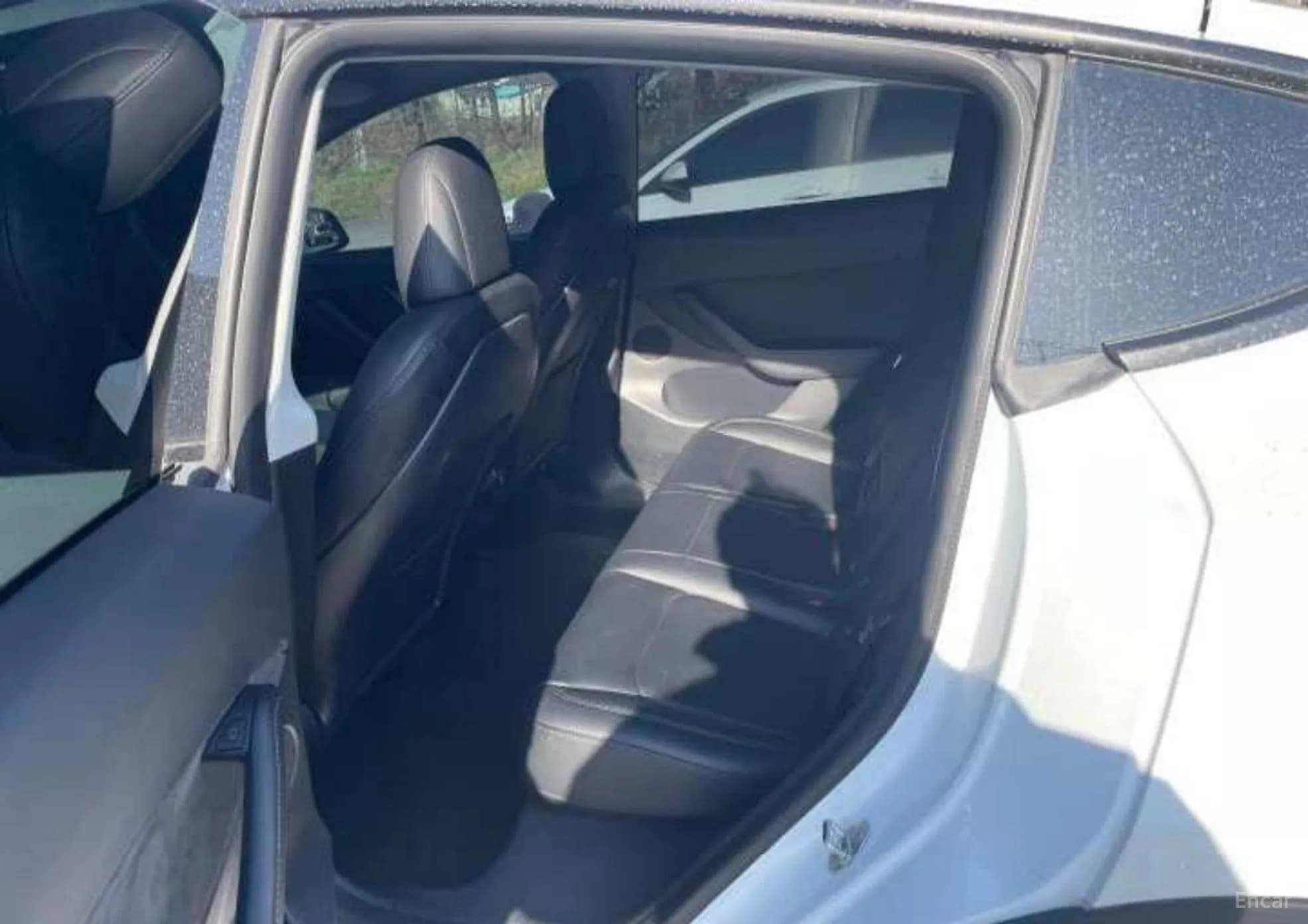 Model Y