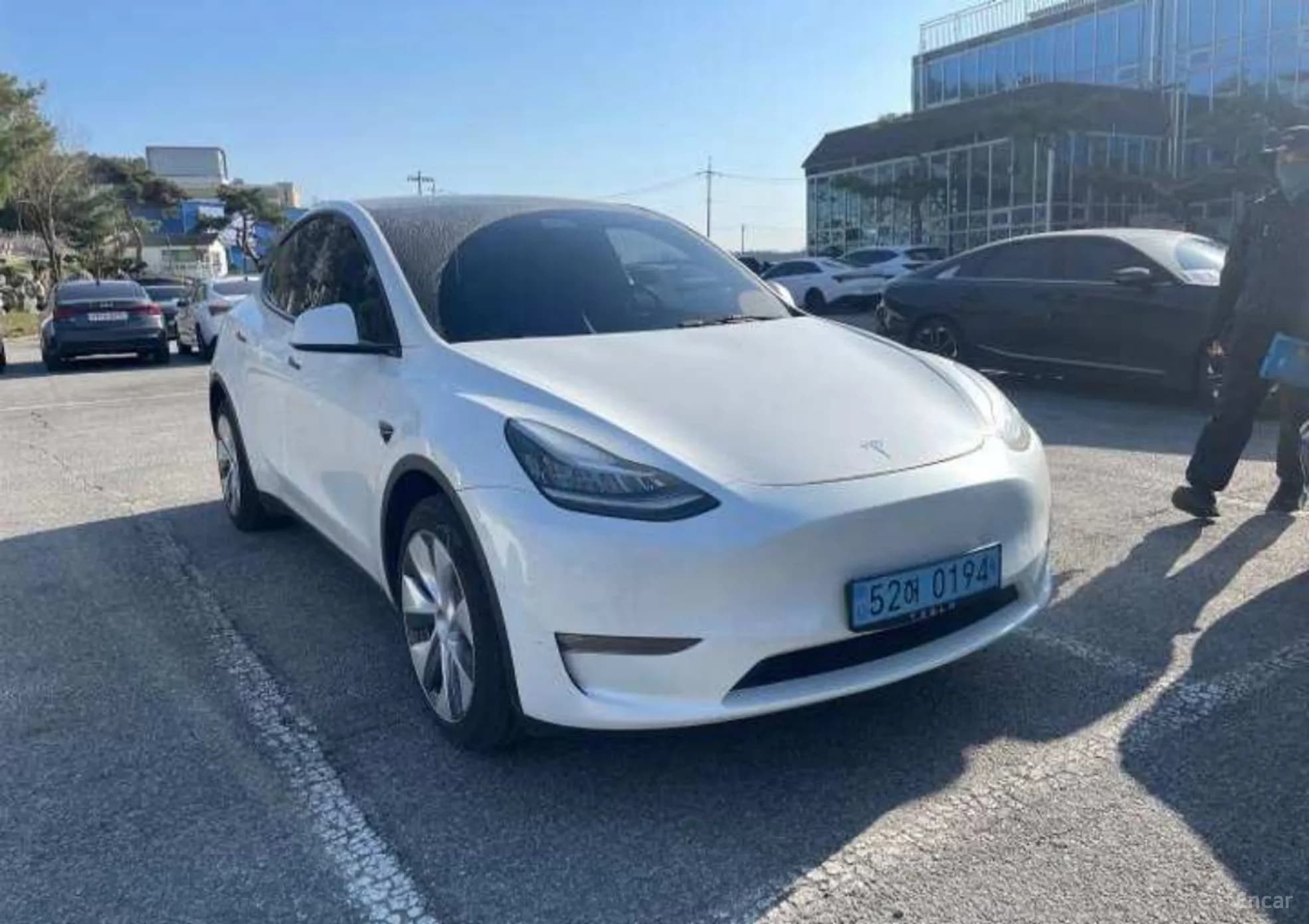 Model Y