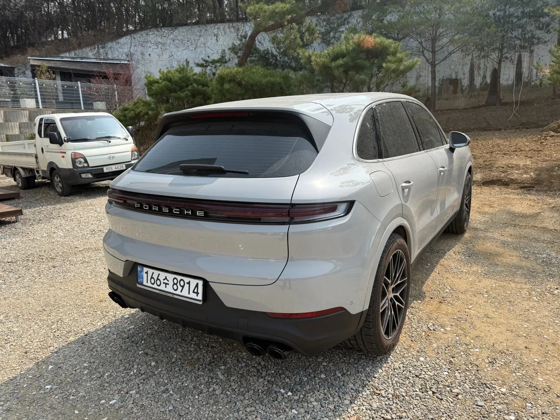 Cayenne (PO536)