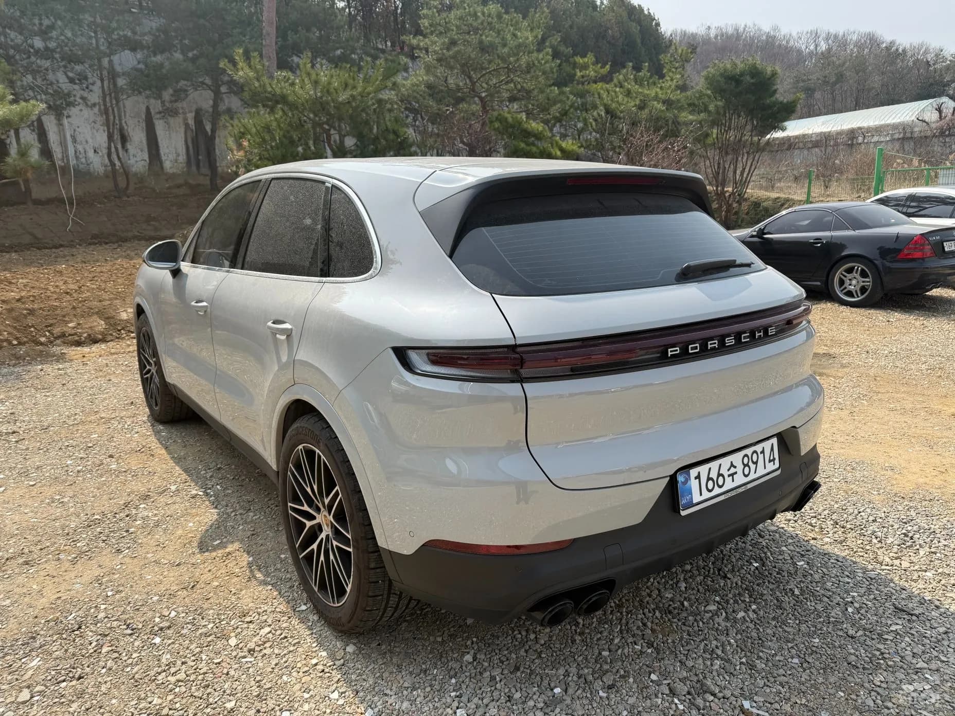 Cayenne (PO536)