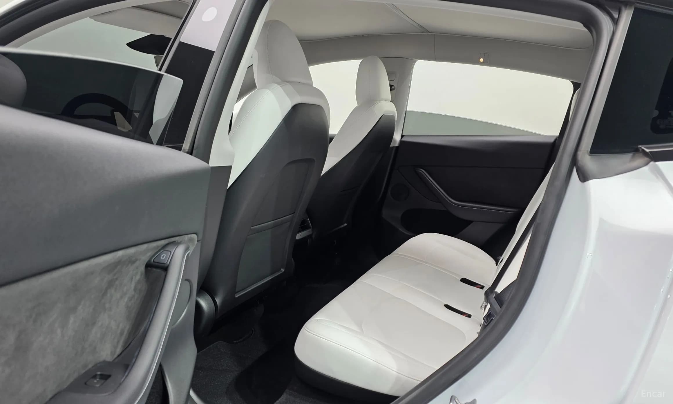 Model Y