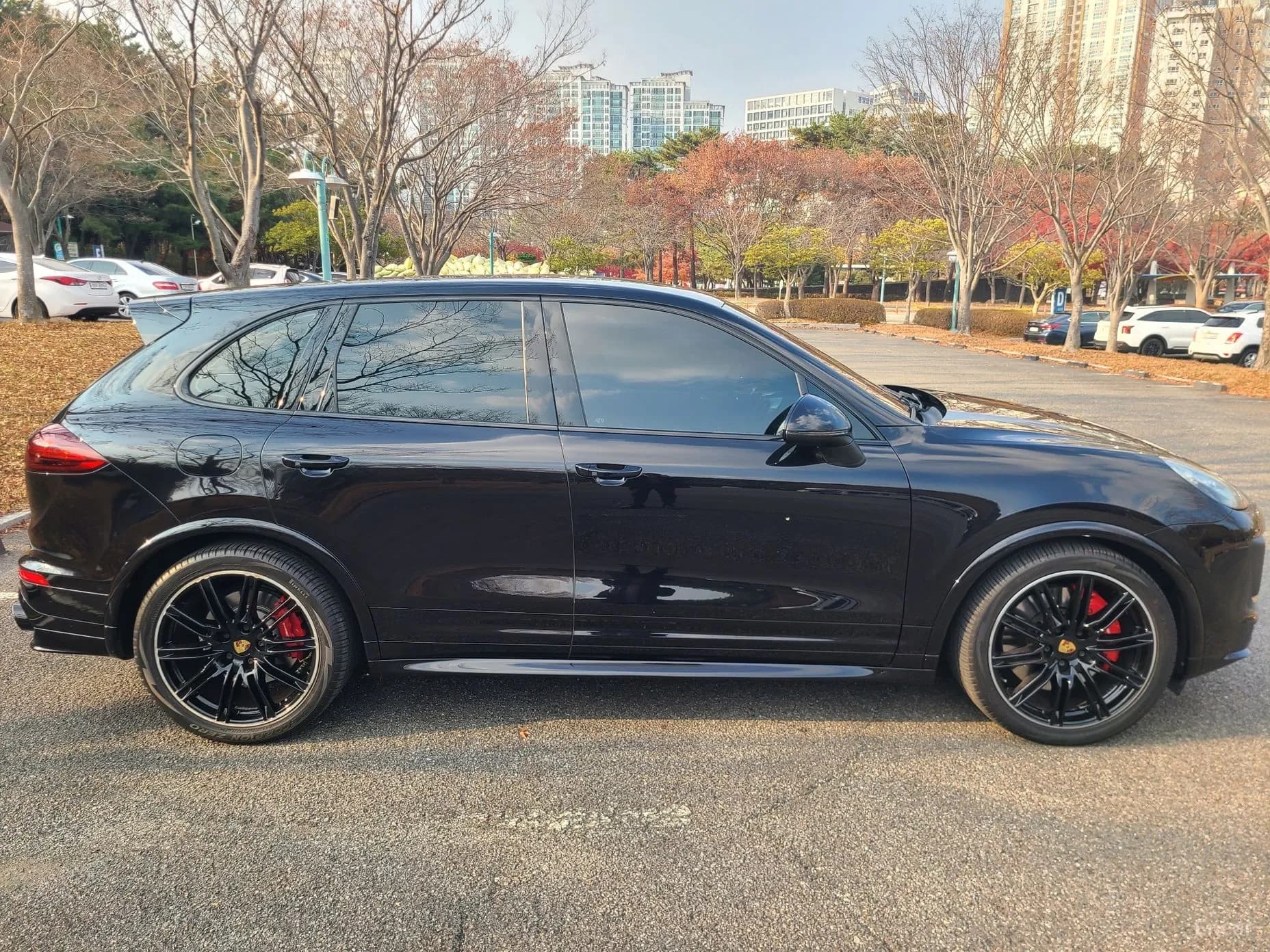 New Cayenne