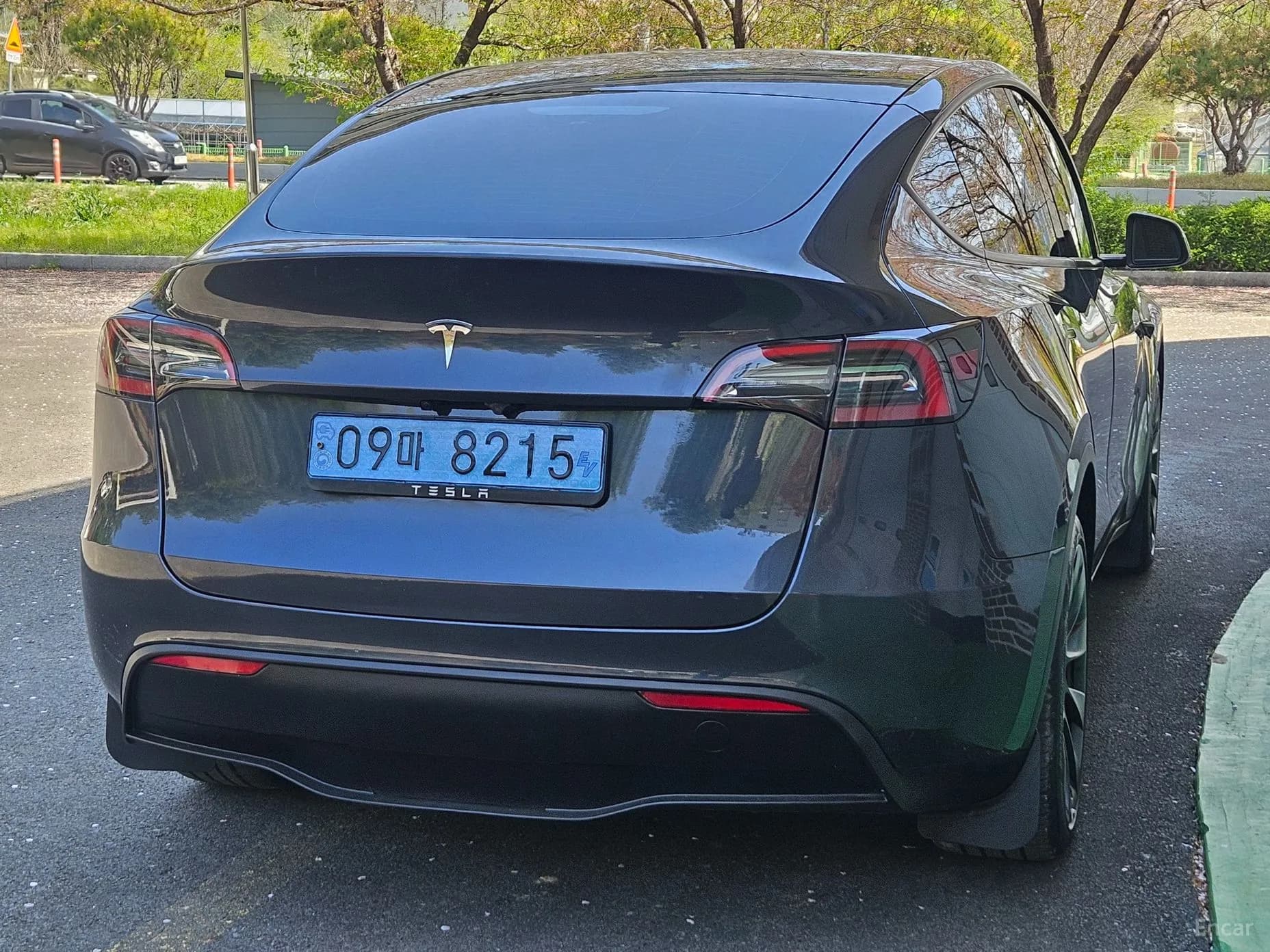 Model Y