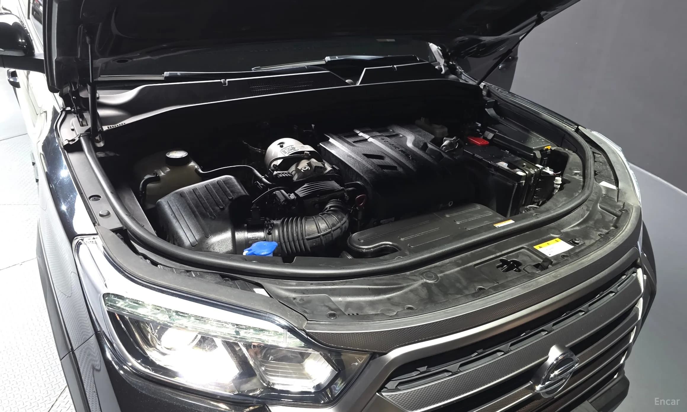 Rexton Sports