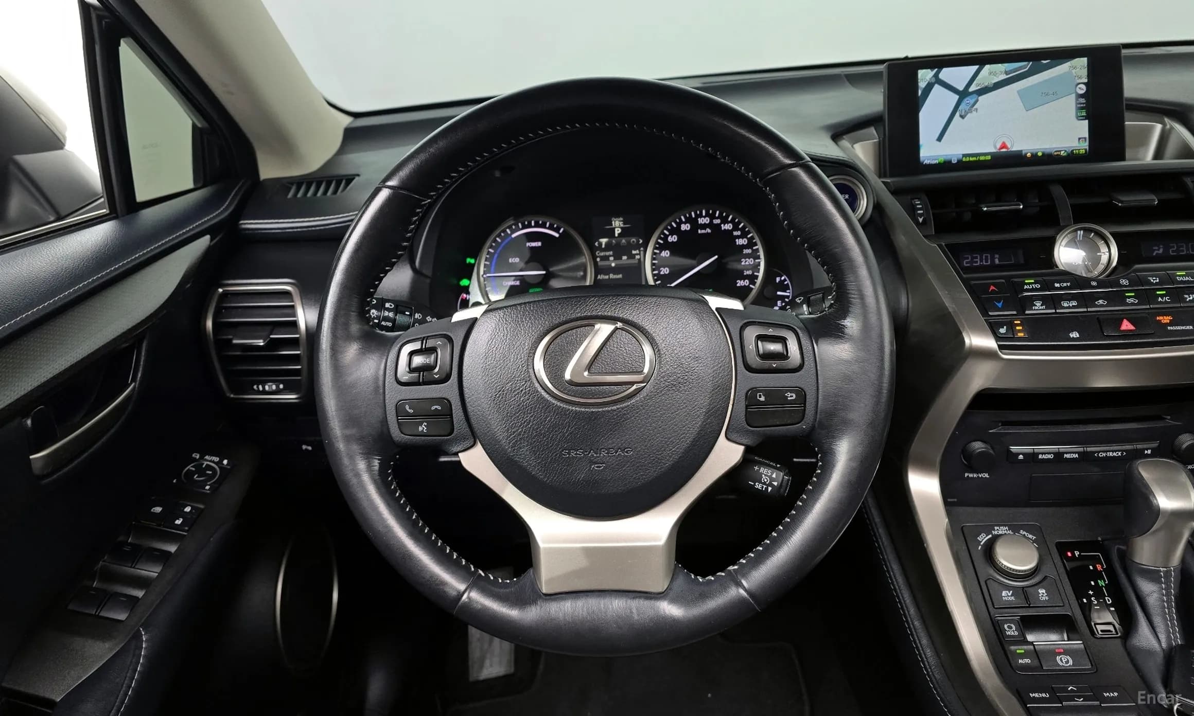 NX300h