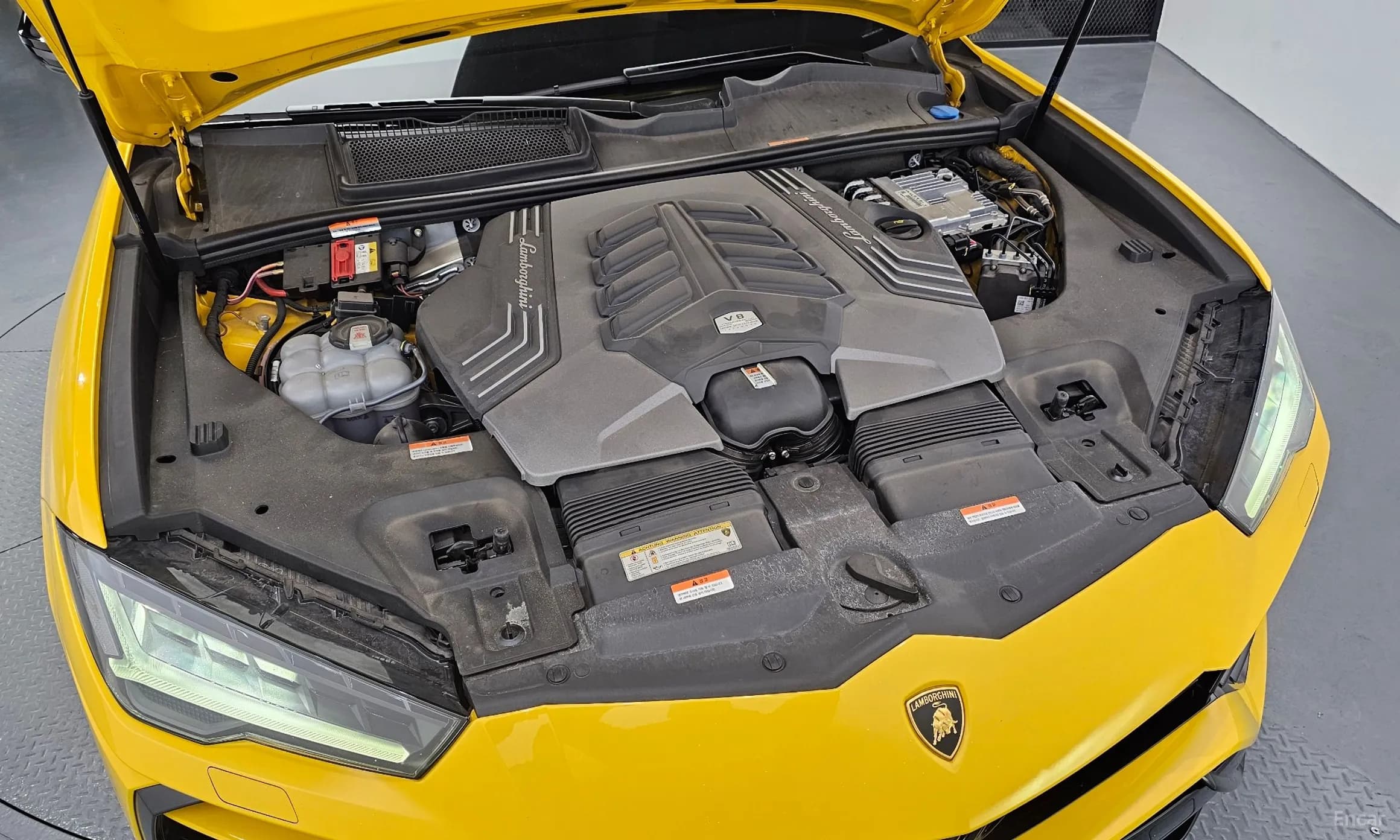 Urus