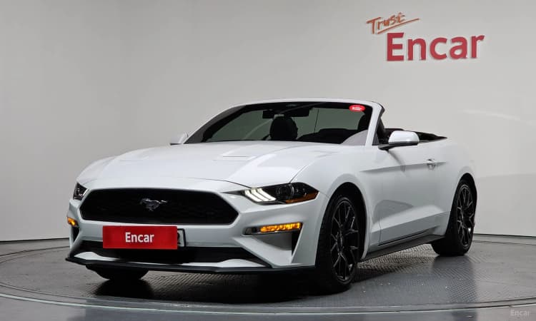 Mustang