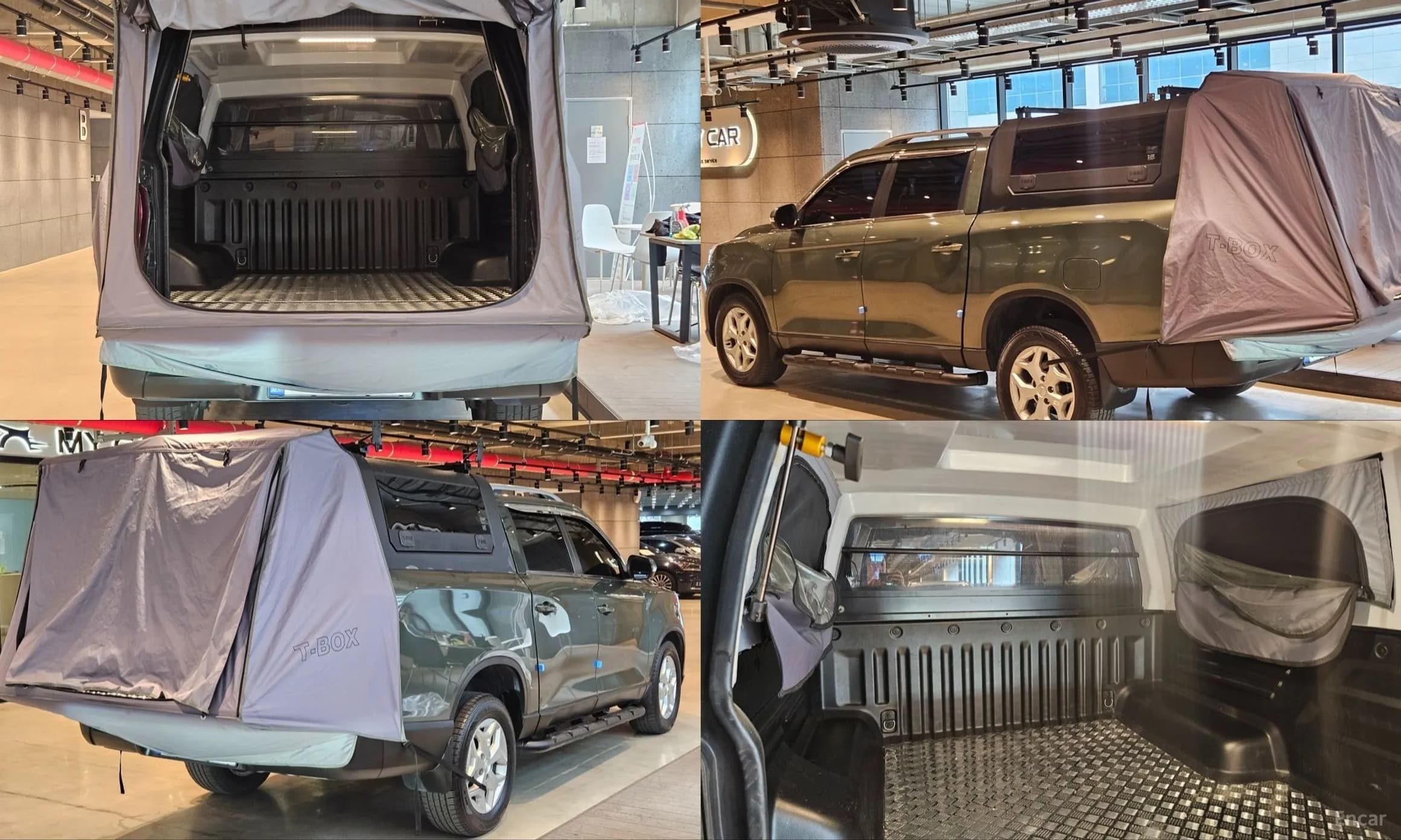 Rexton Sports Khan