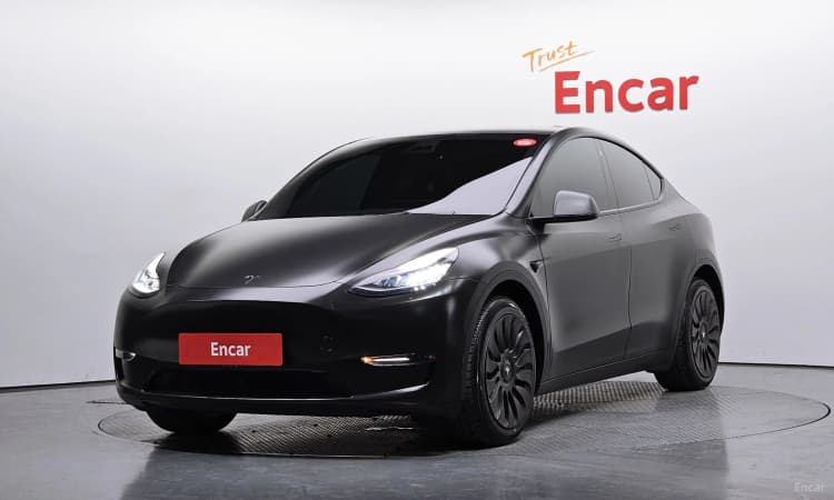 Model Y