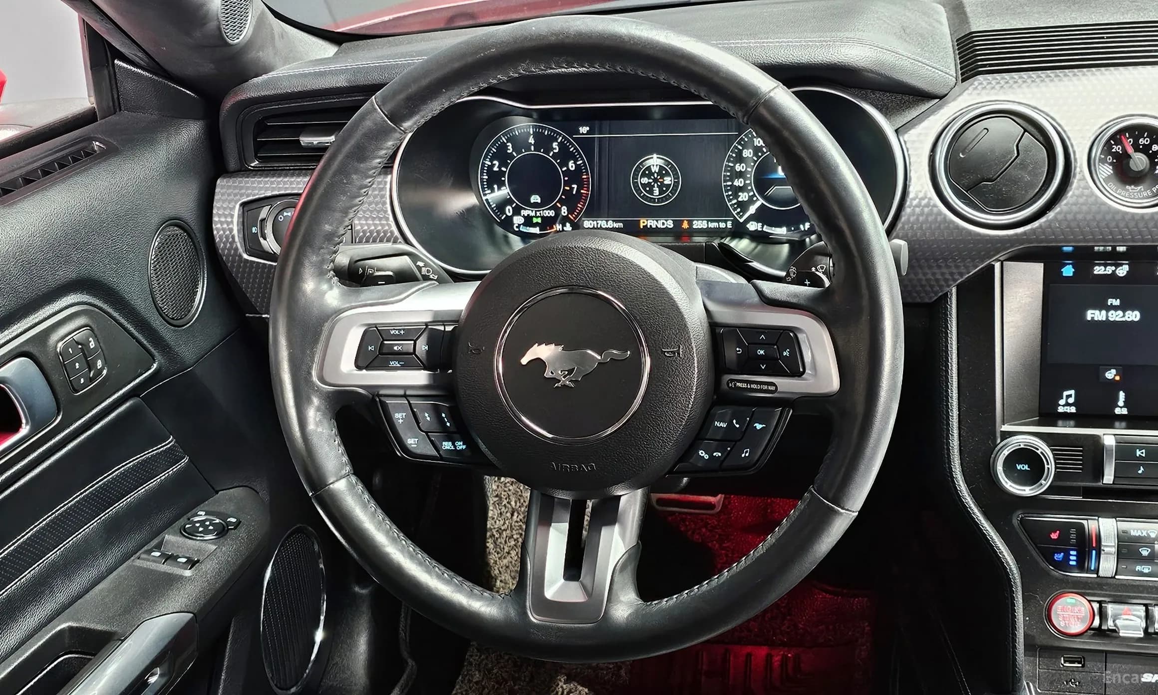Mustang