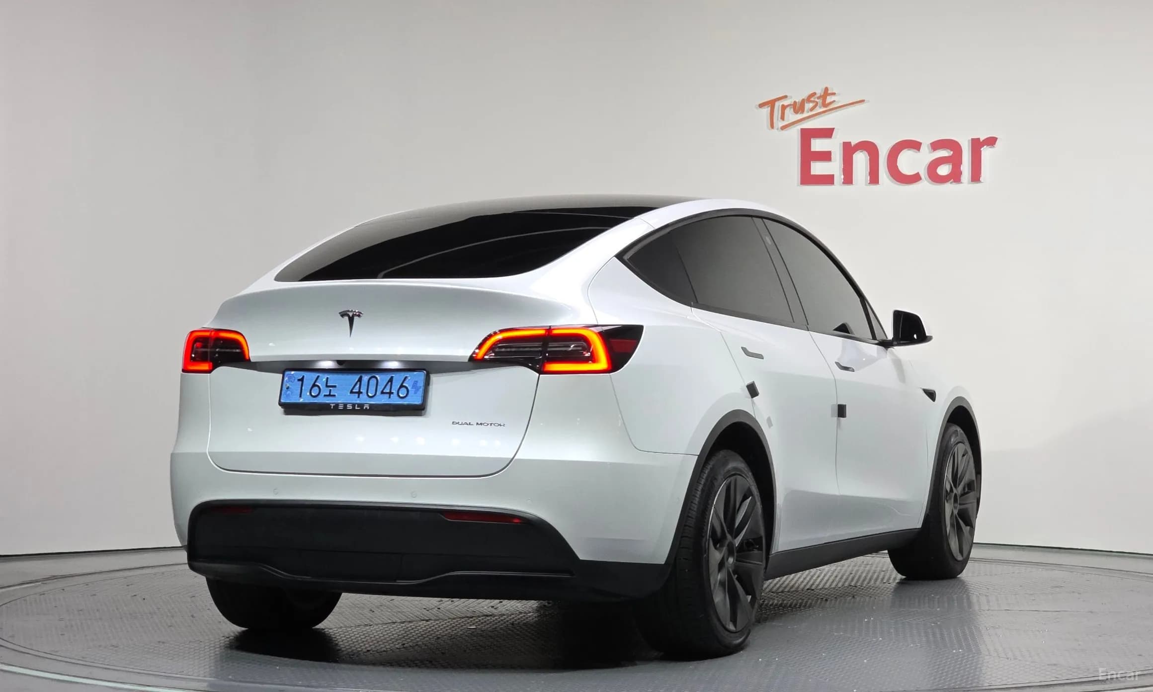 Model Y