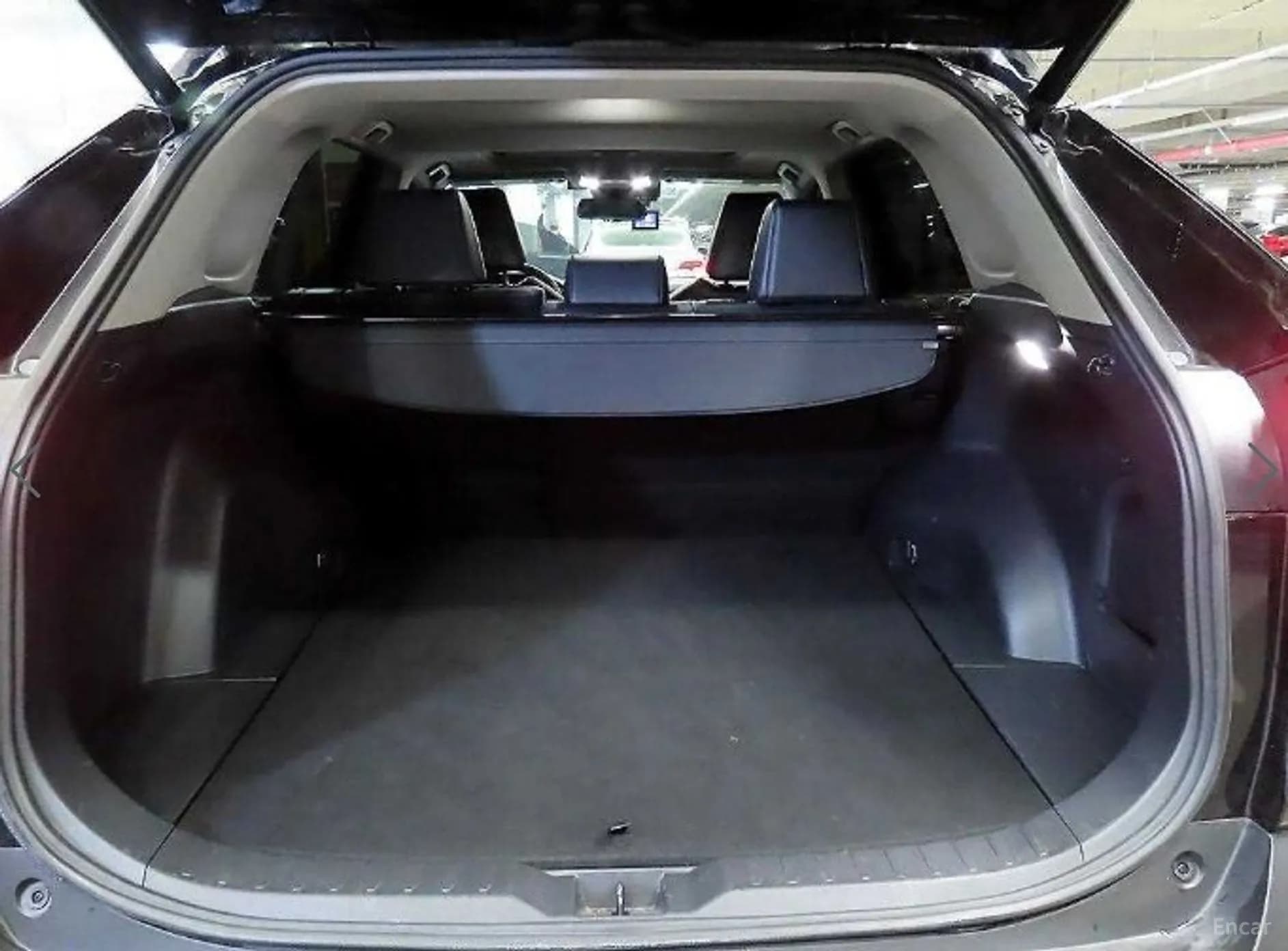 RAV4 5th Generation
