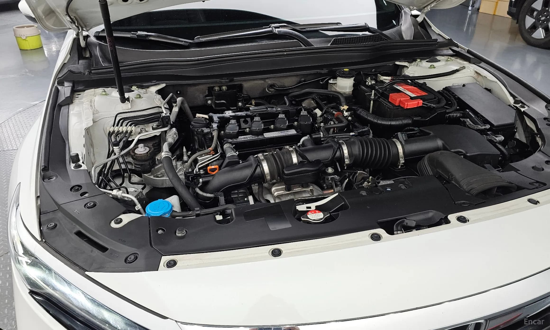 Accord 10th Generation