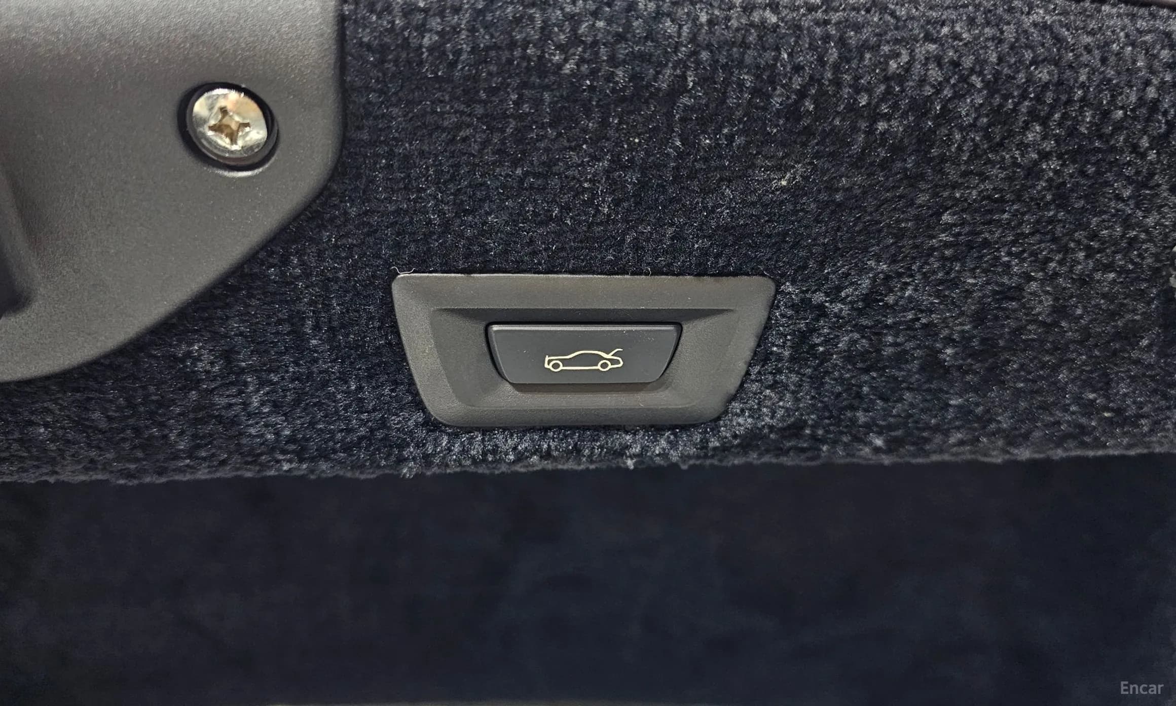 Lace