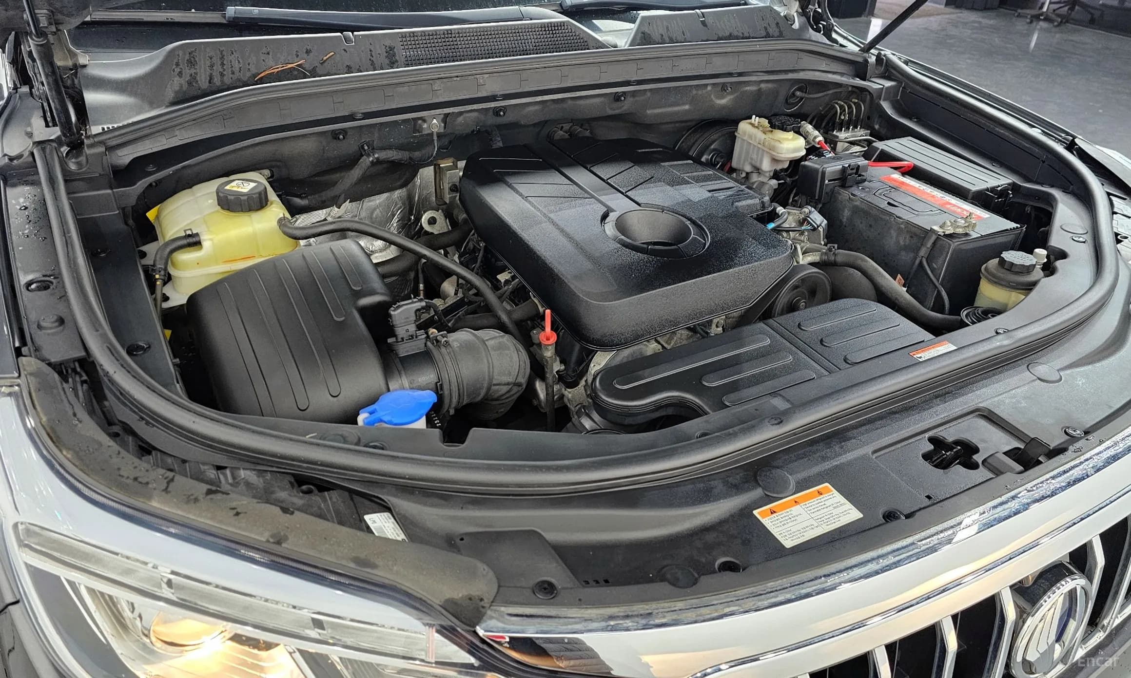 Rexton Sports Khan