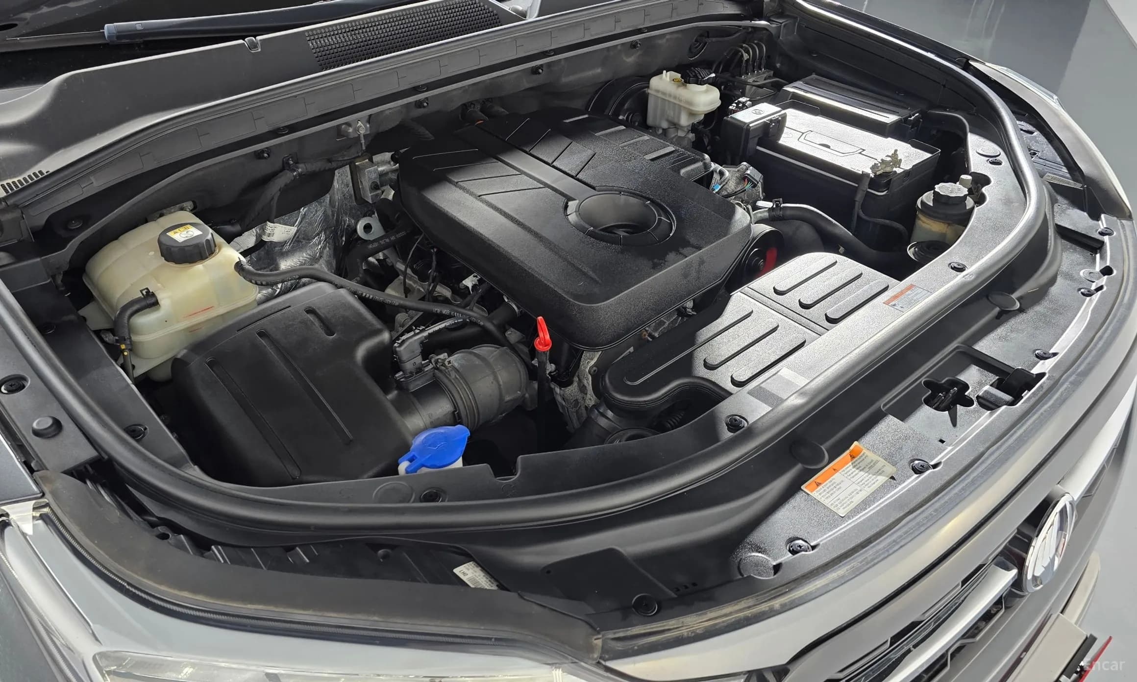 Rexton Sports