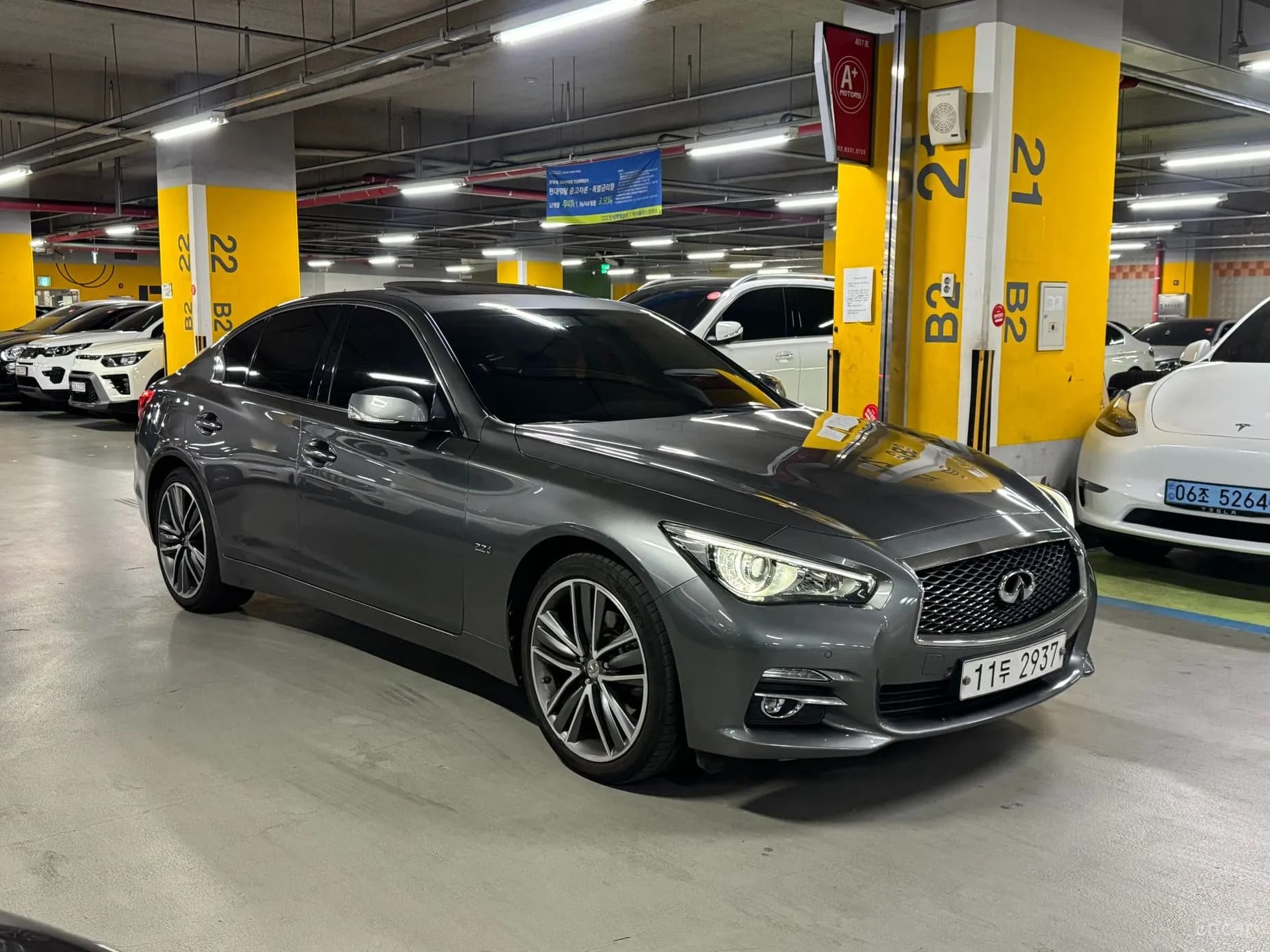 Q50