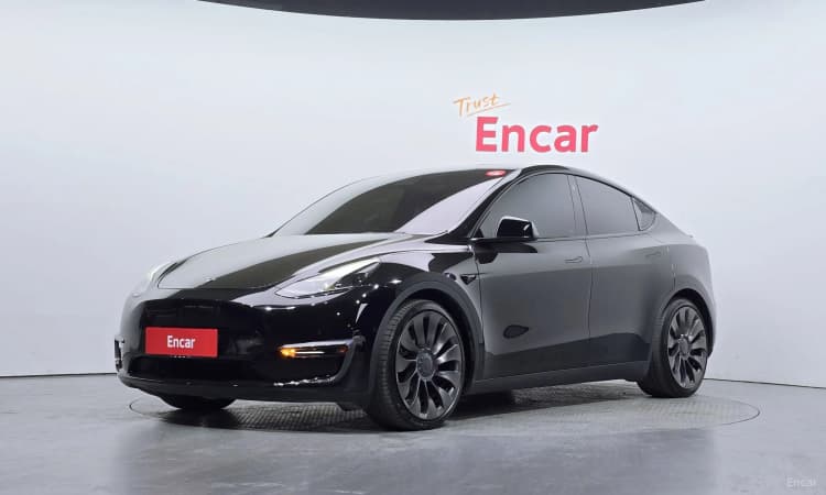 Model Y