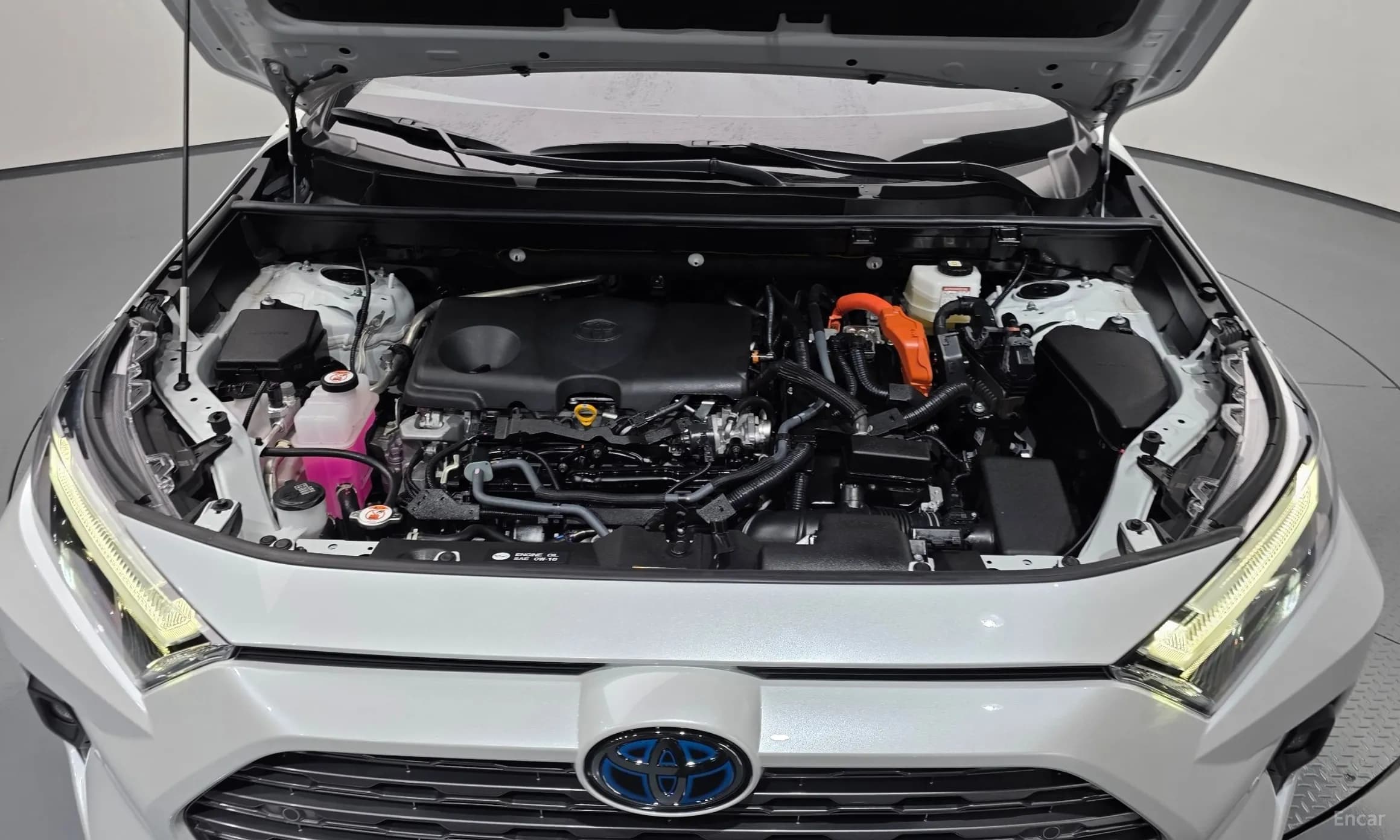 RAV4 5th Generation