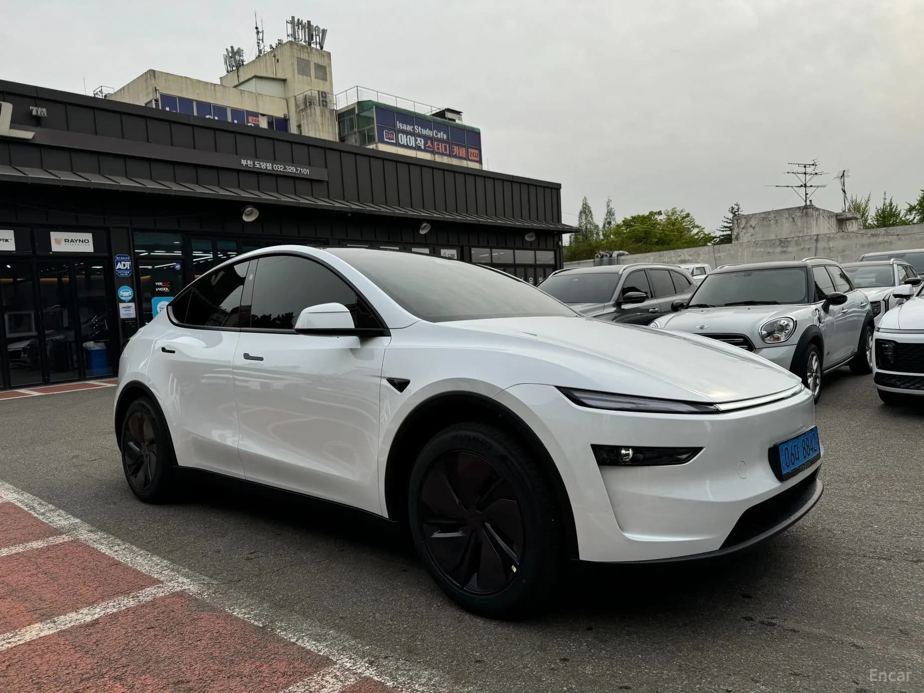 Model Y