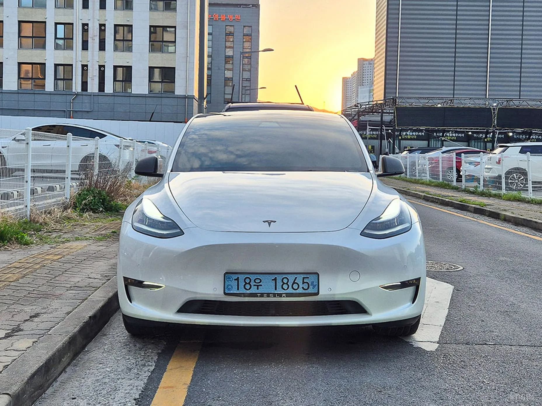 Model Y