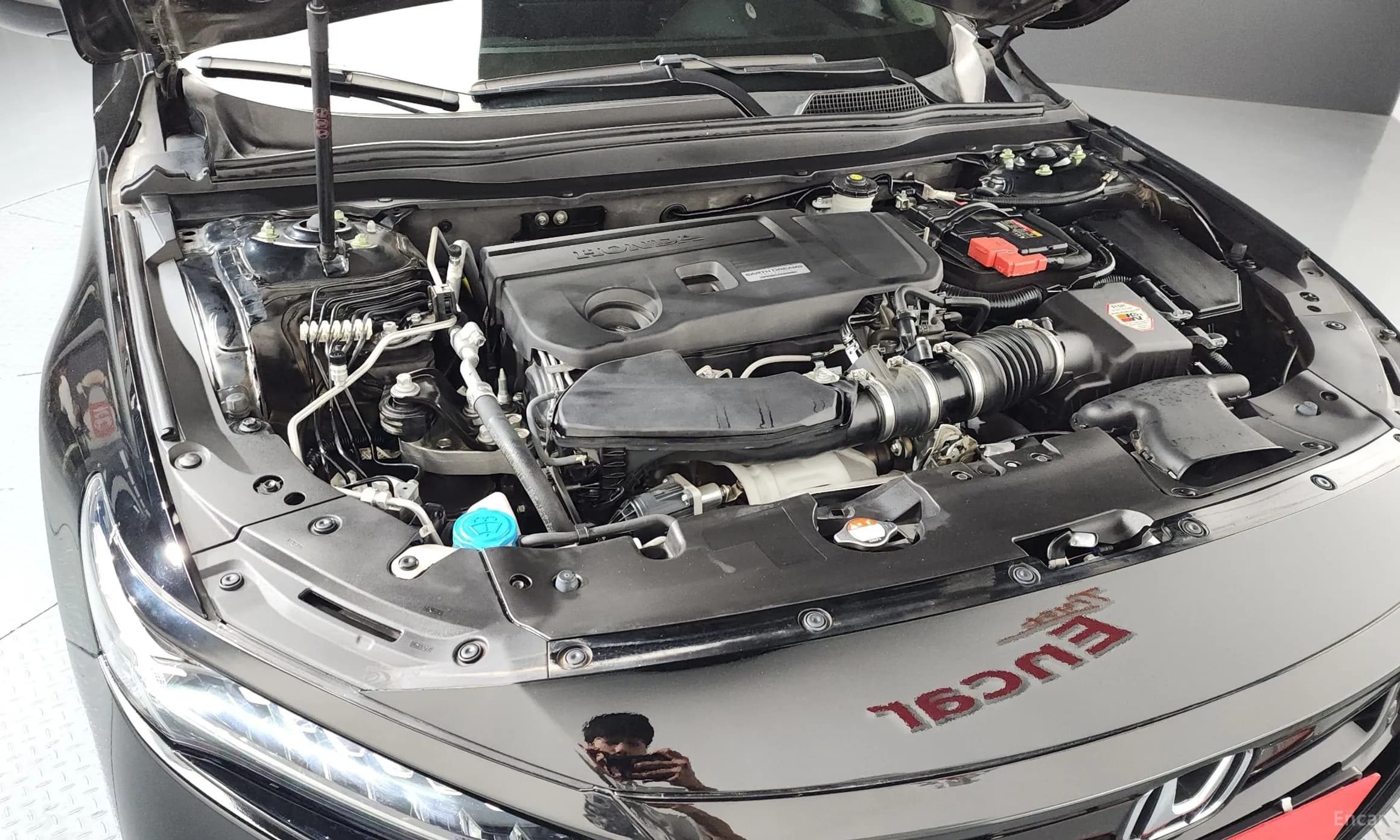 Accord 10th Generation