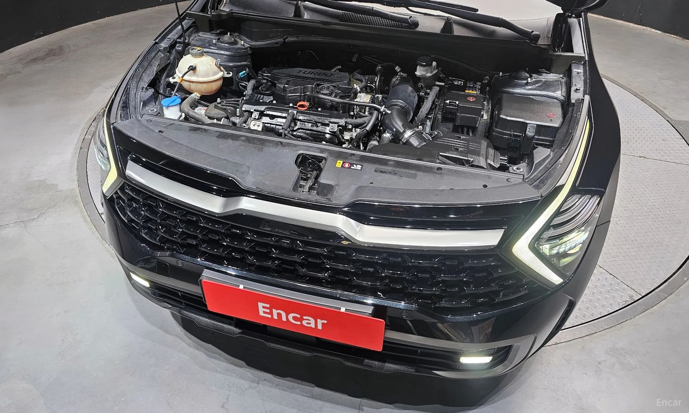 Sportage 5th Generation