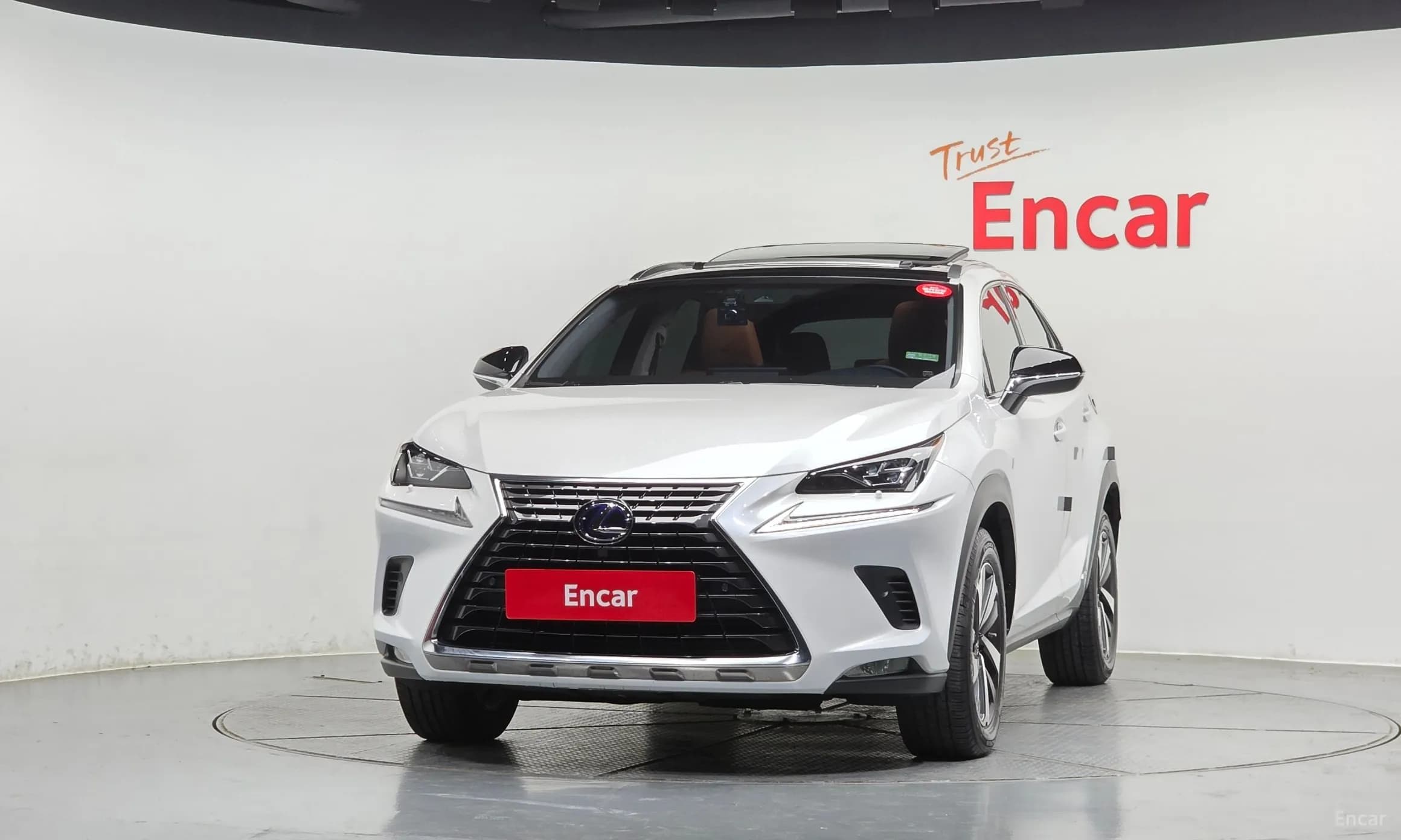 NX300h