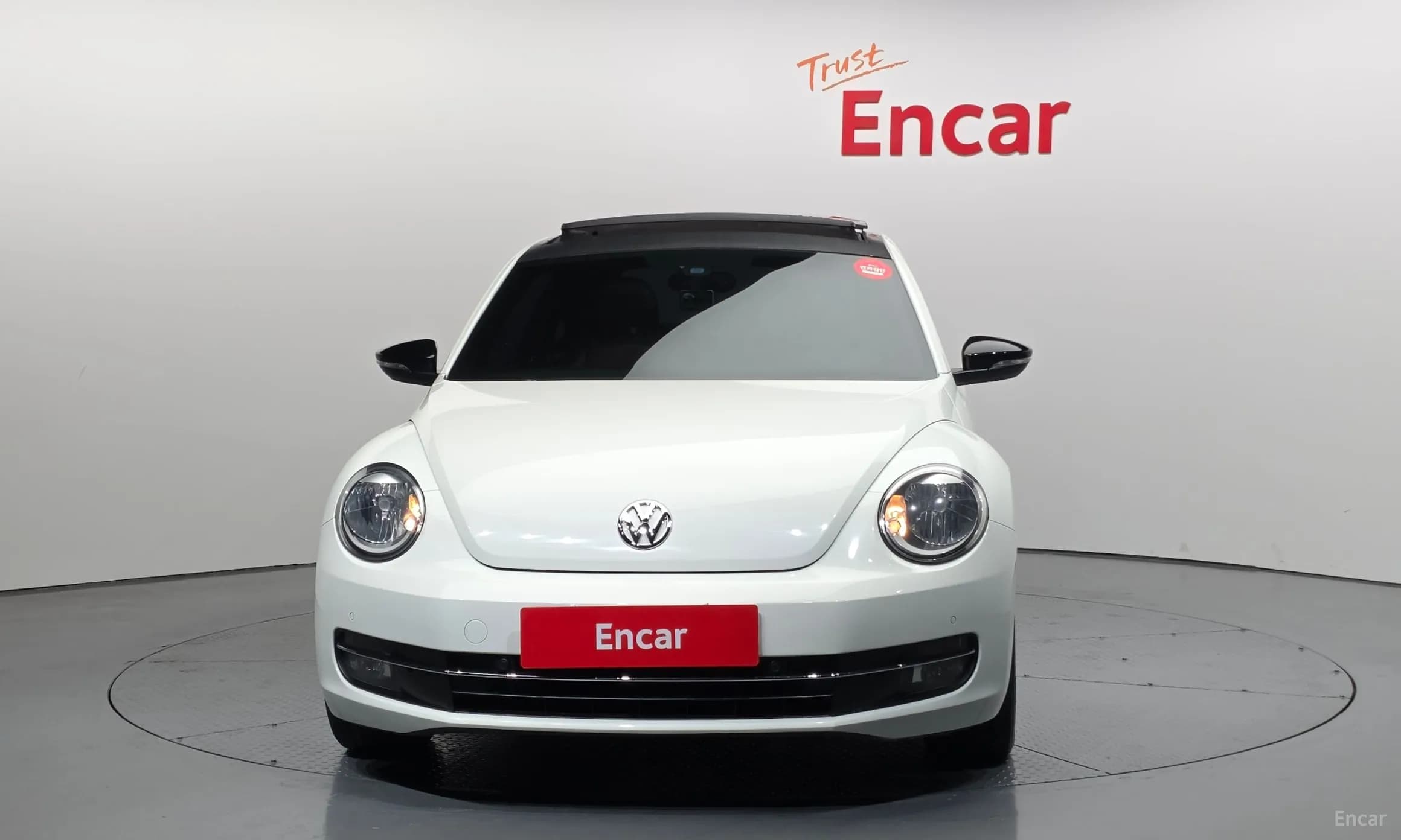 The Beetle
