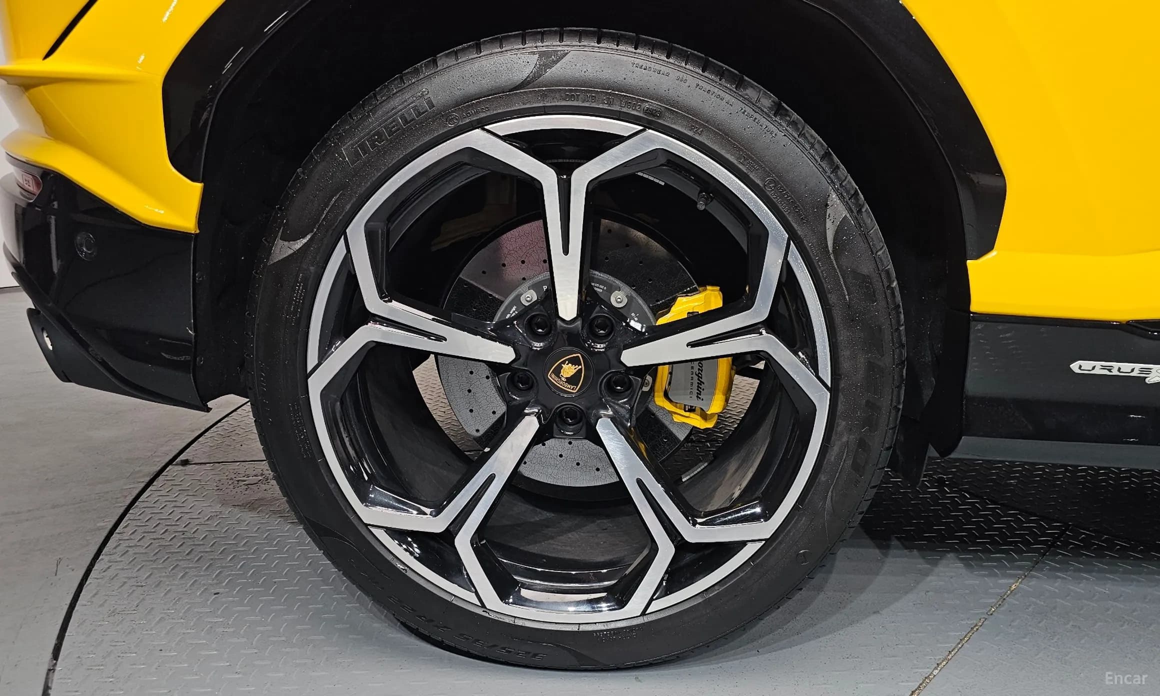 Urus