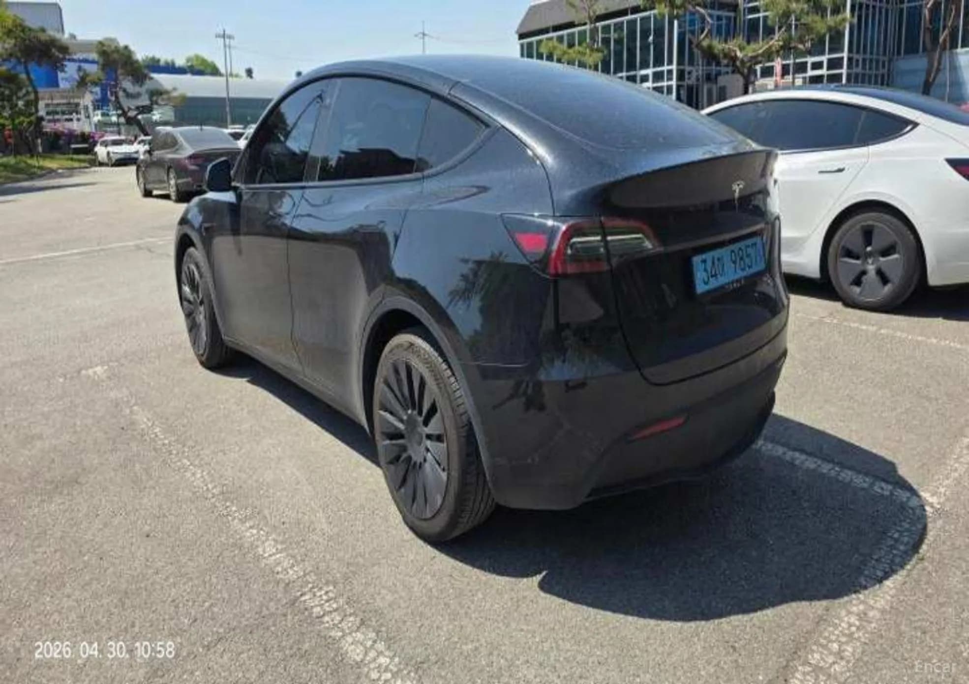 Model Y