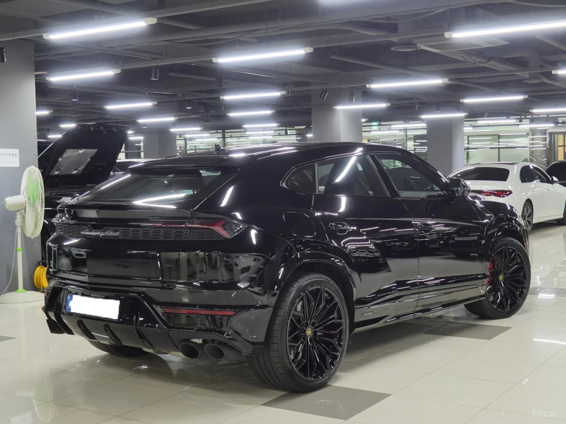 Urus