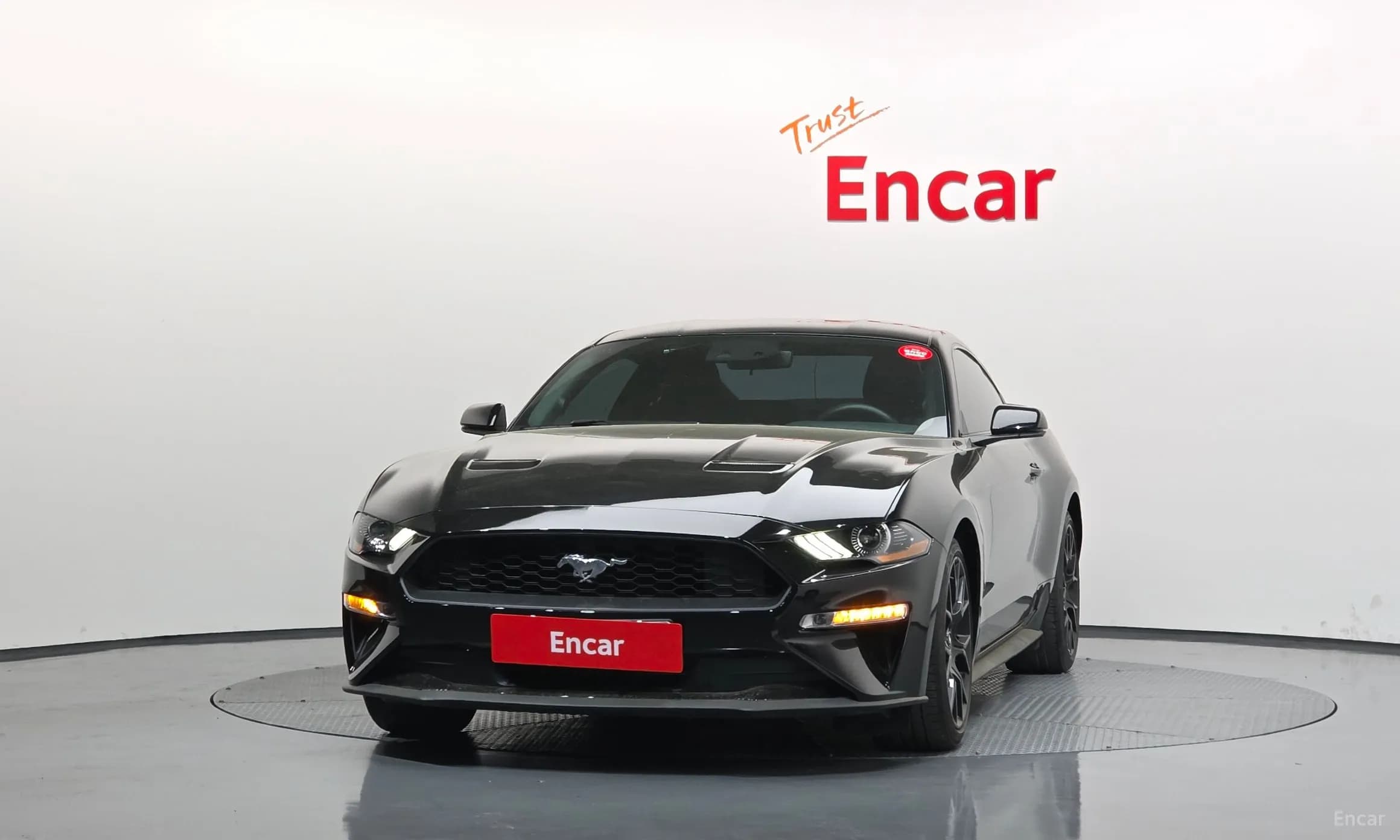 Mustang