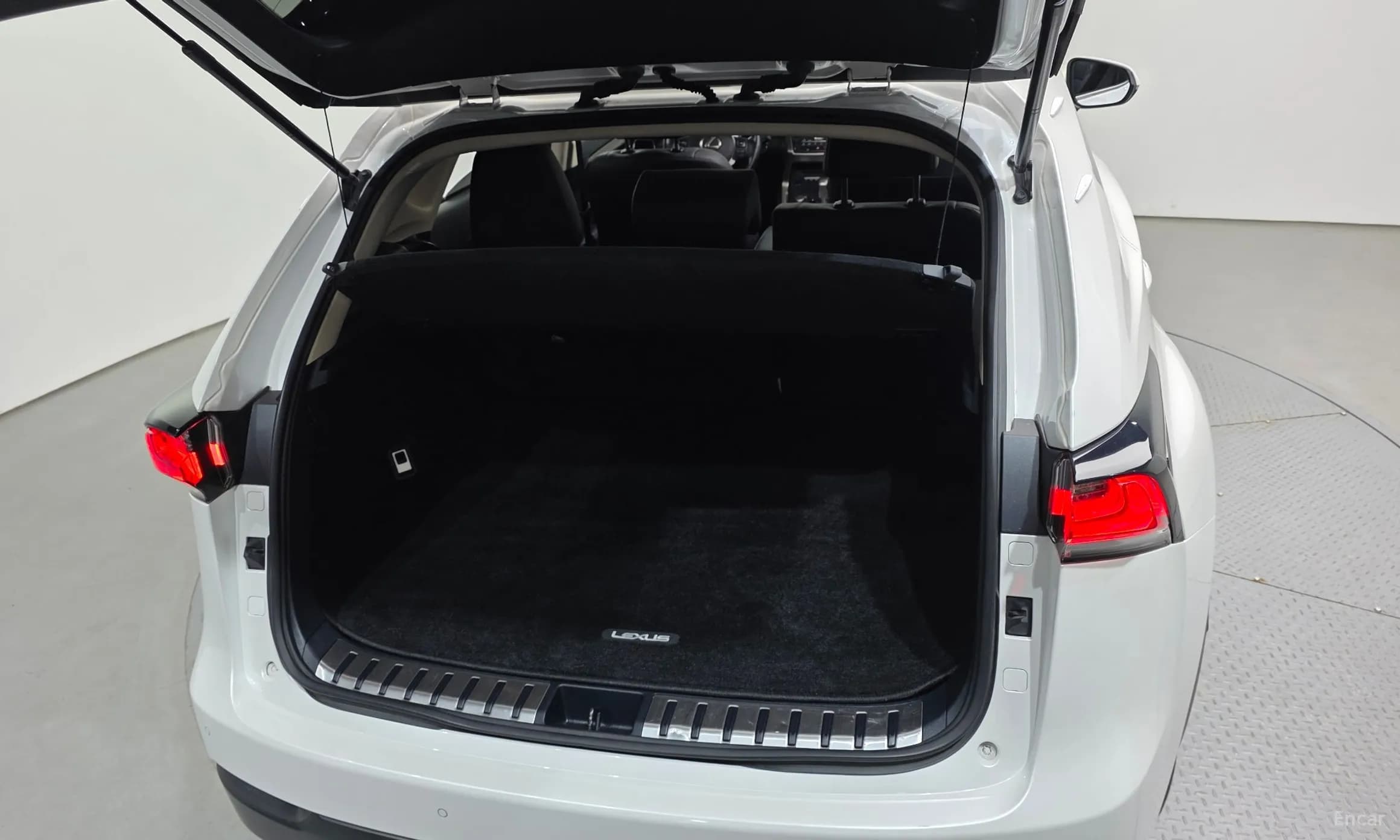 NX300h