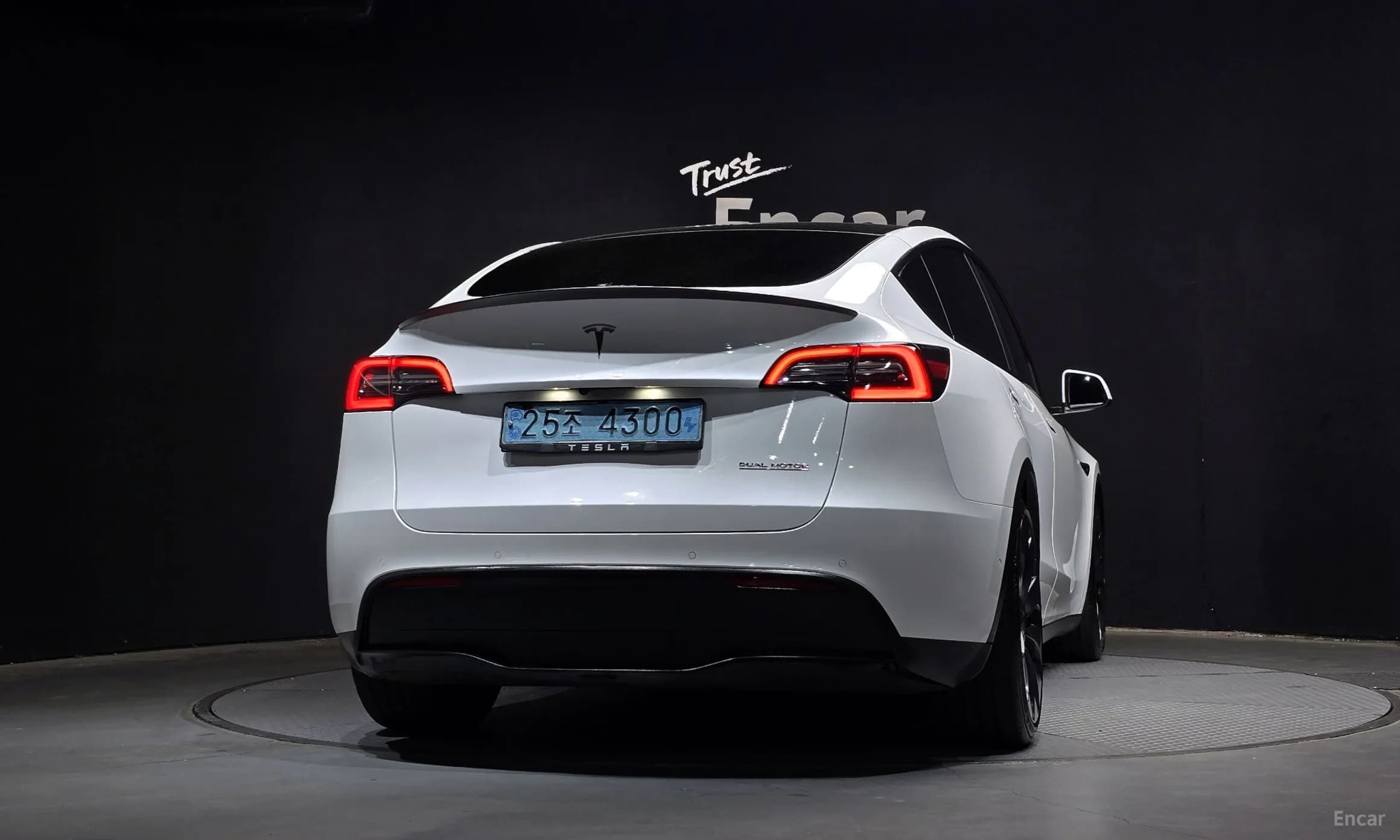 Model Y