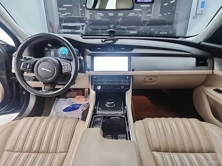 XF (x260)