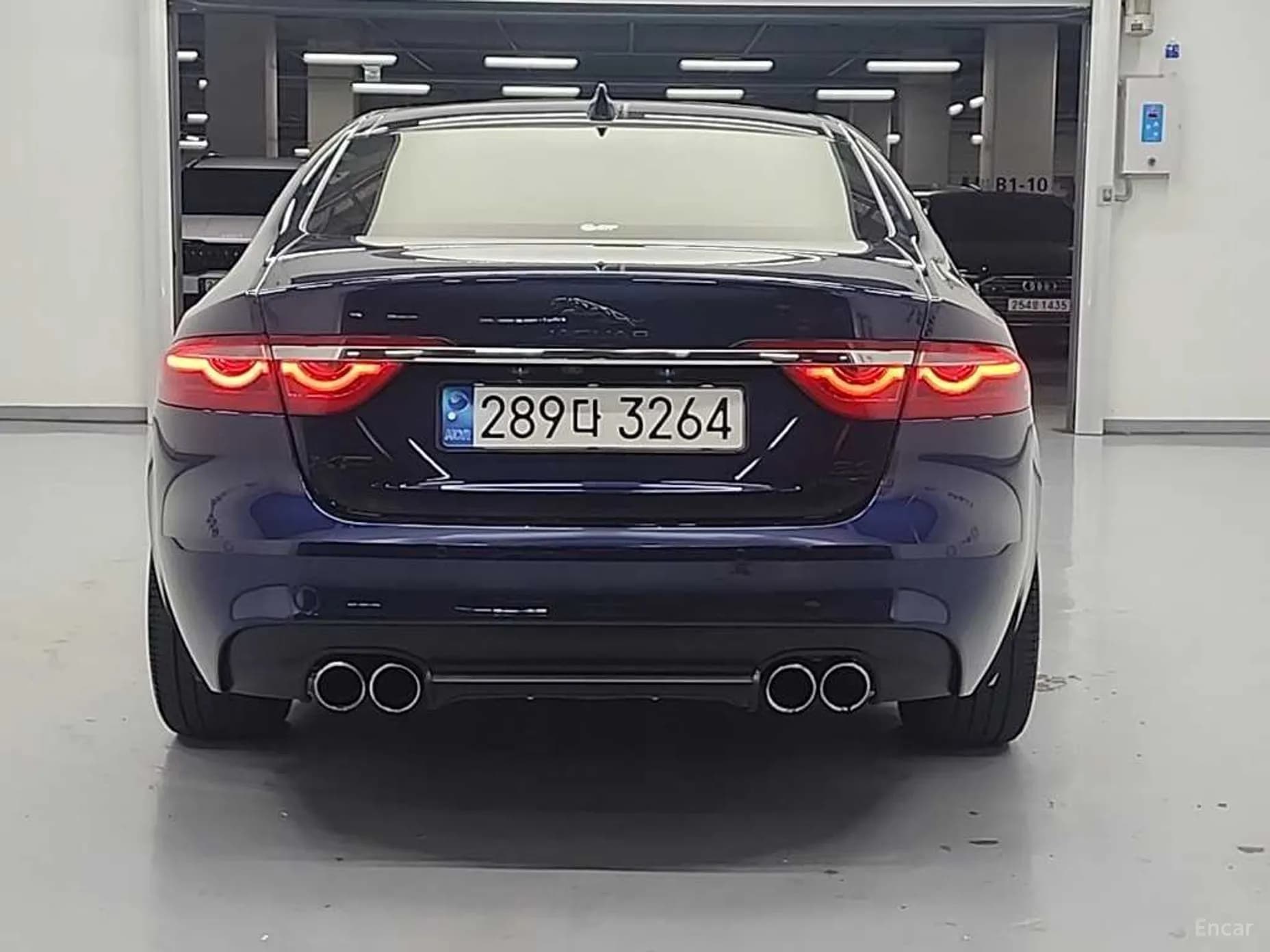 XF (x260)