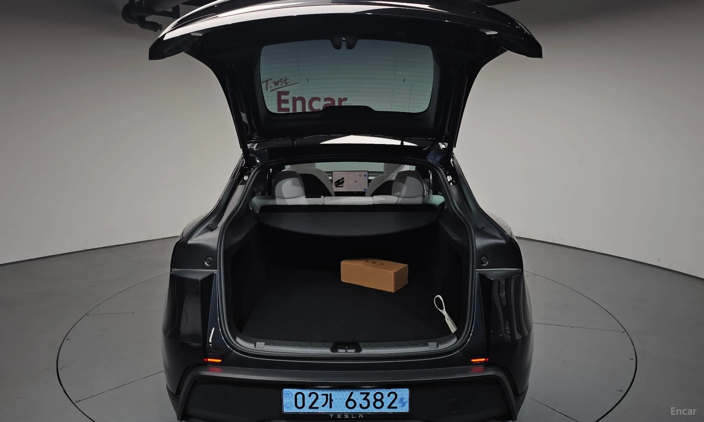 Model Y