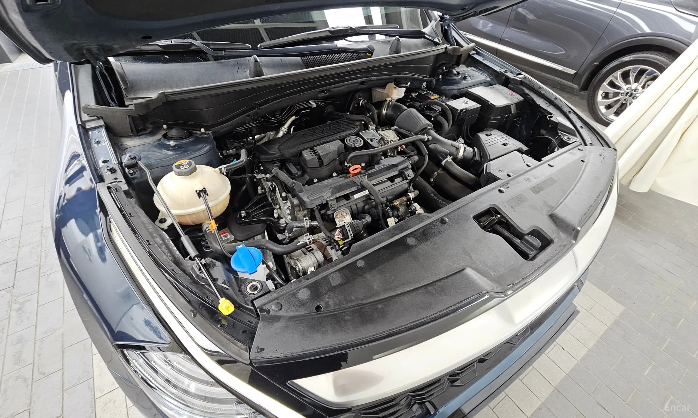 Sportage 5th Generation