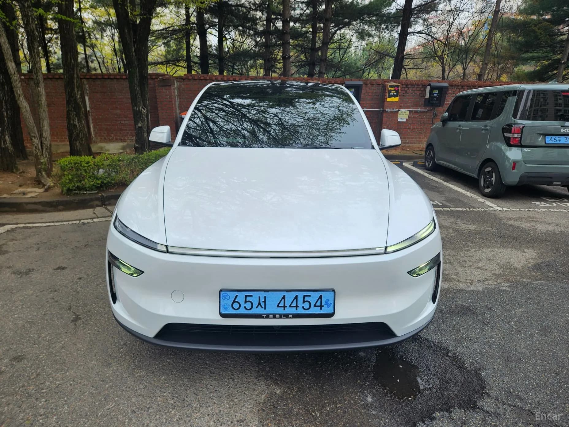 Model Y