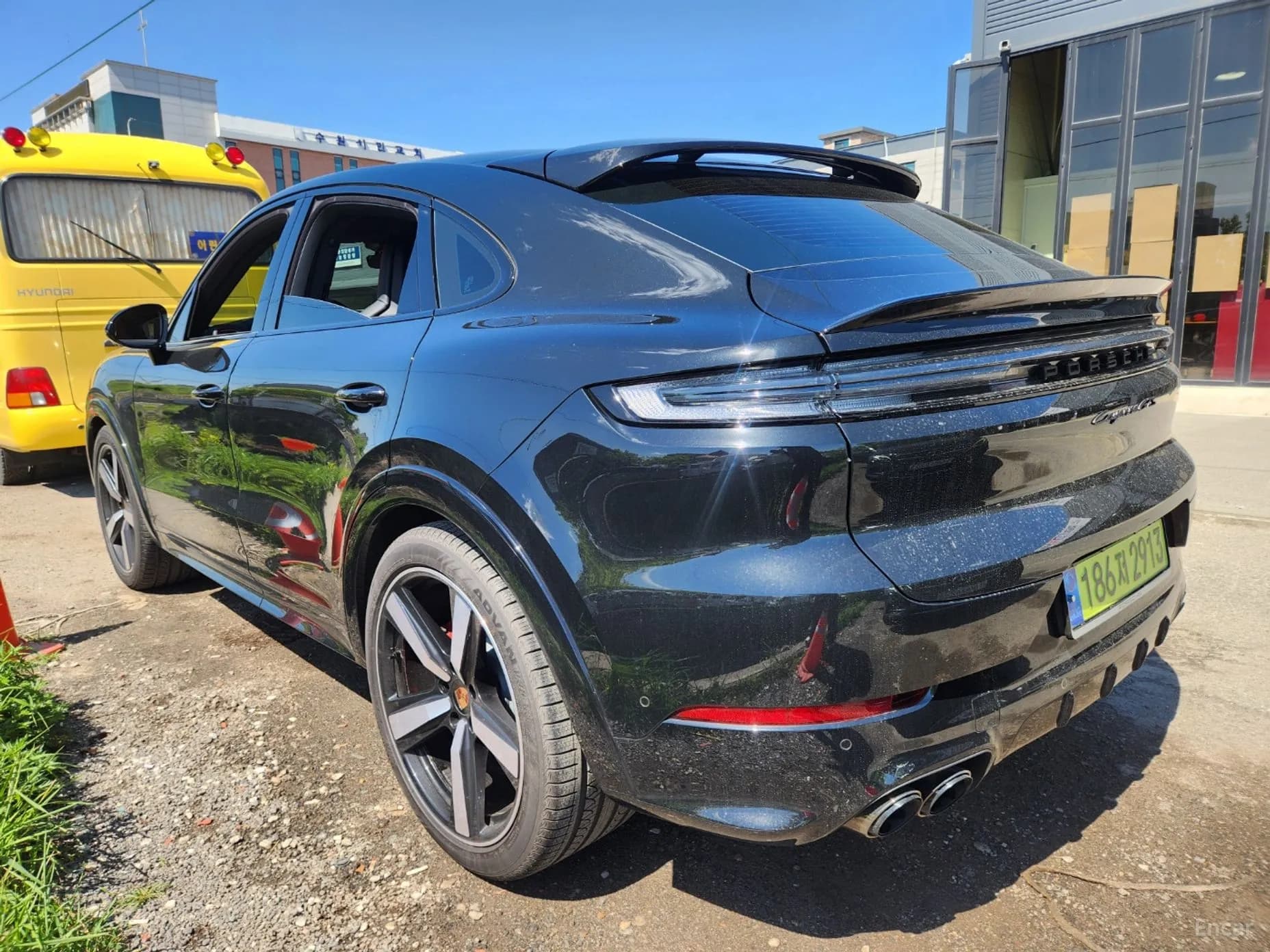 Cayenne (PO536)