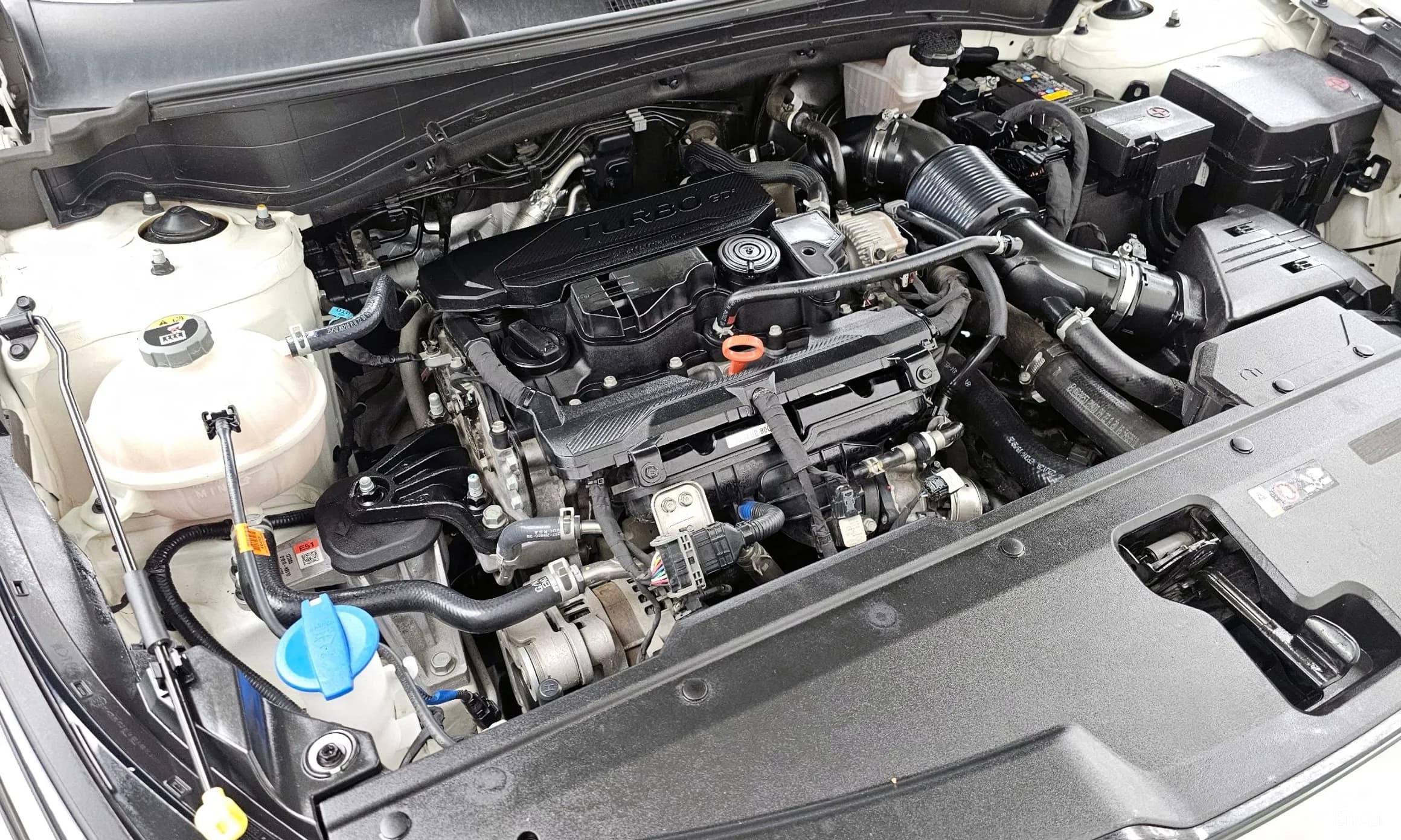 Sportage 5th Generation
