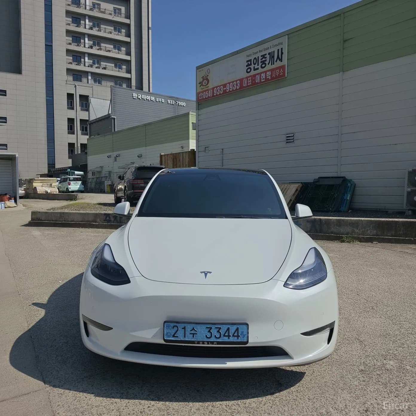 Model Y