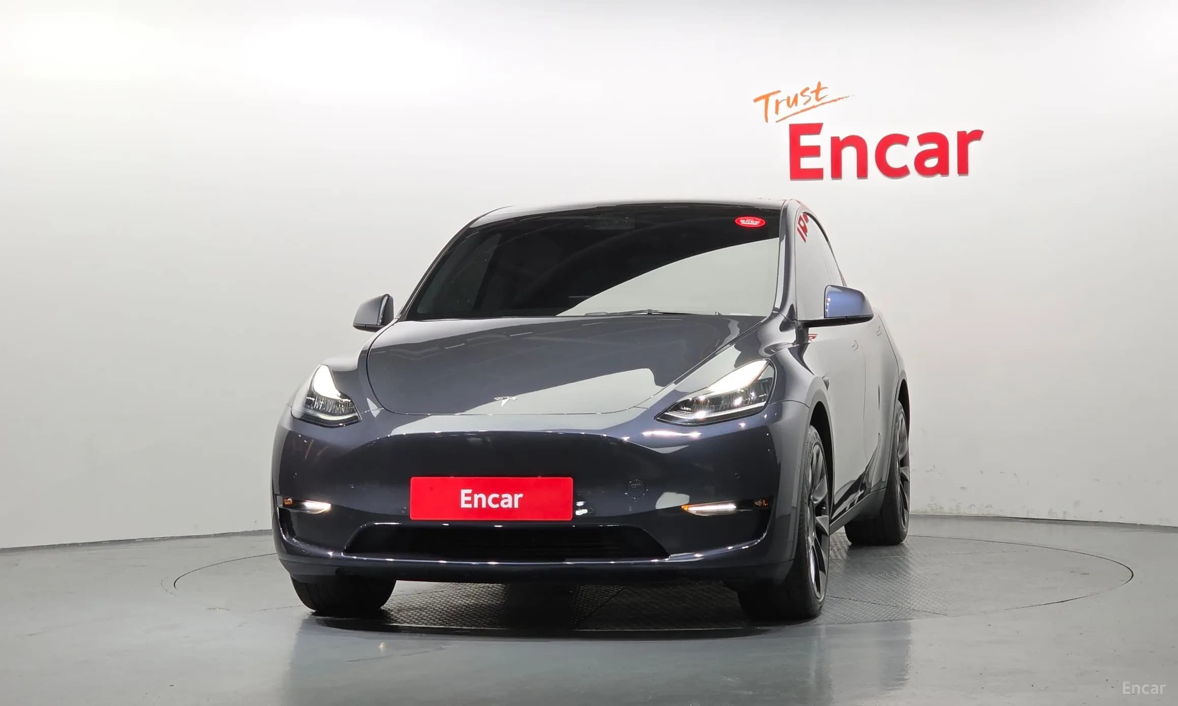 Model Y