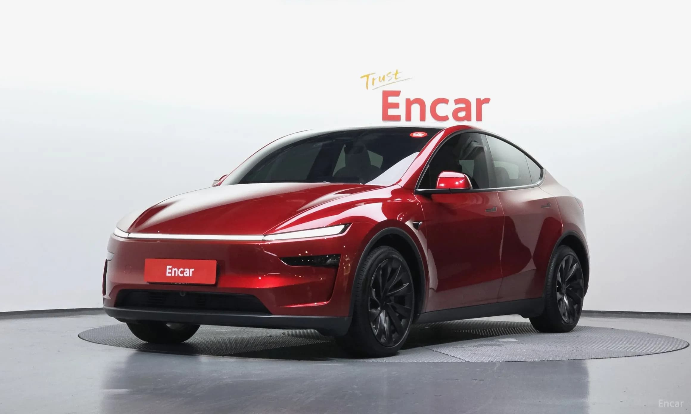 Model Y