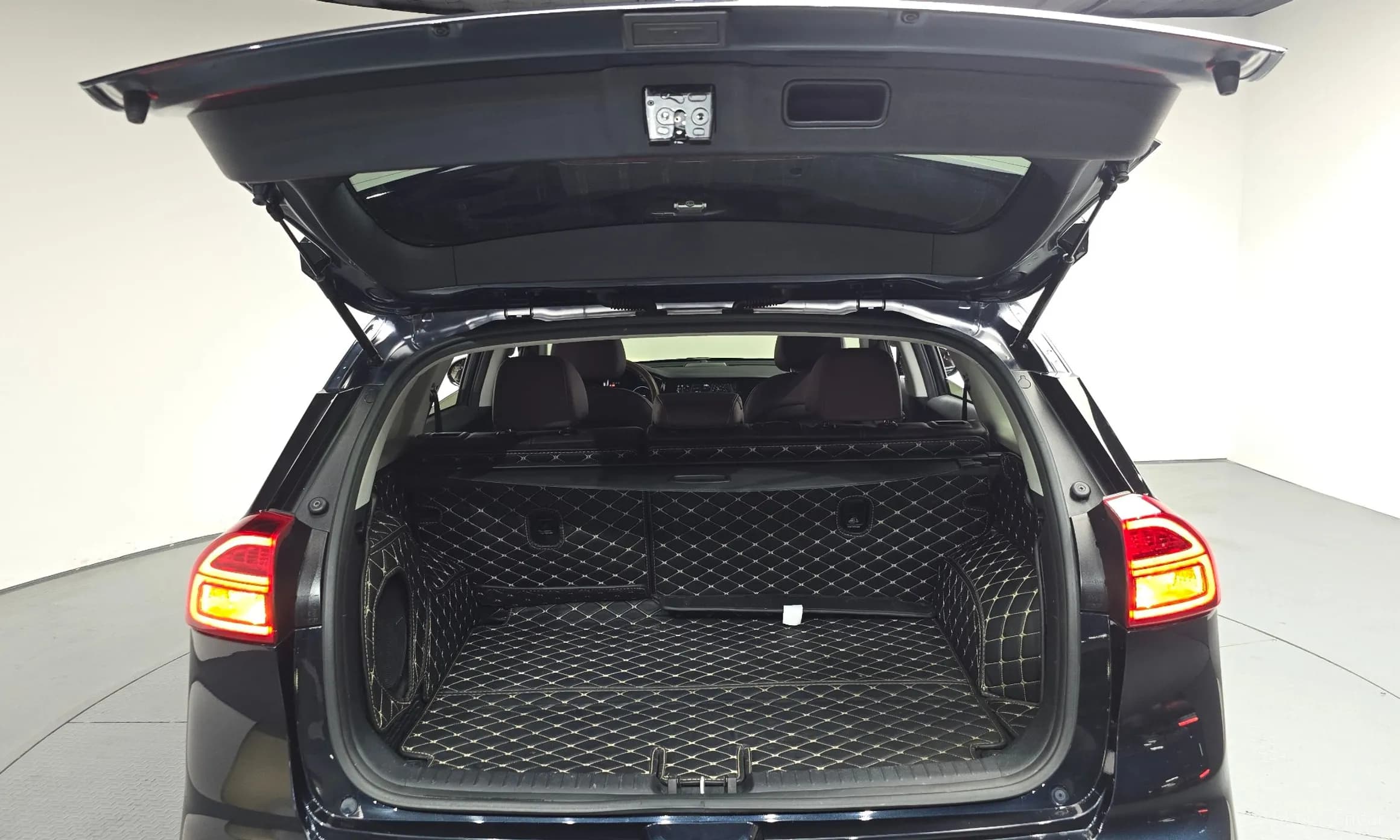 Niro EV